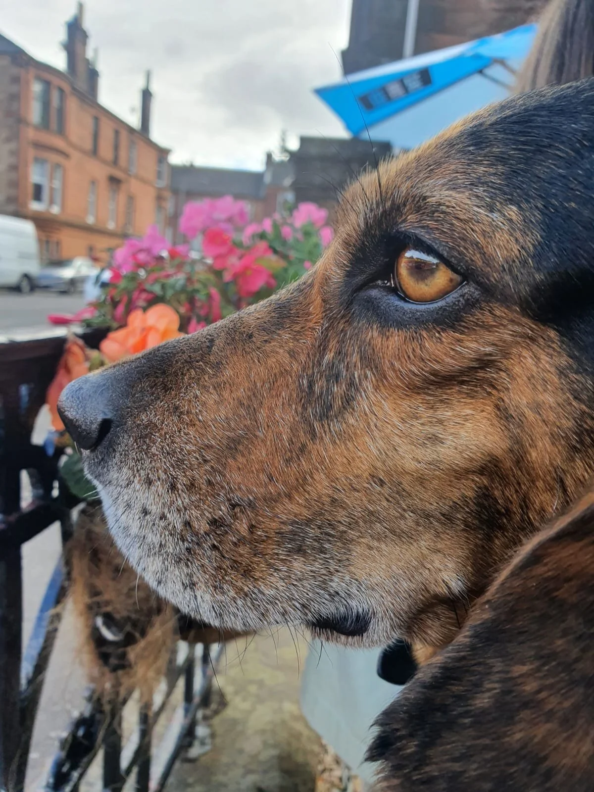 6EAD77DF-0536-4461-93AE-E13BE51F066B