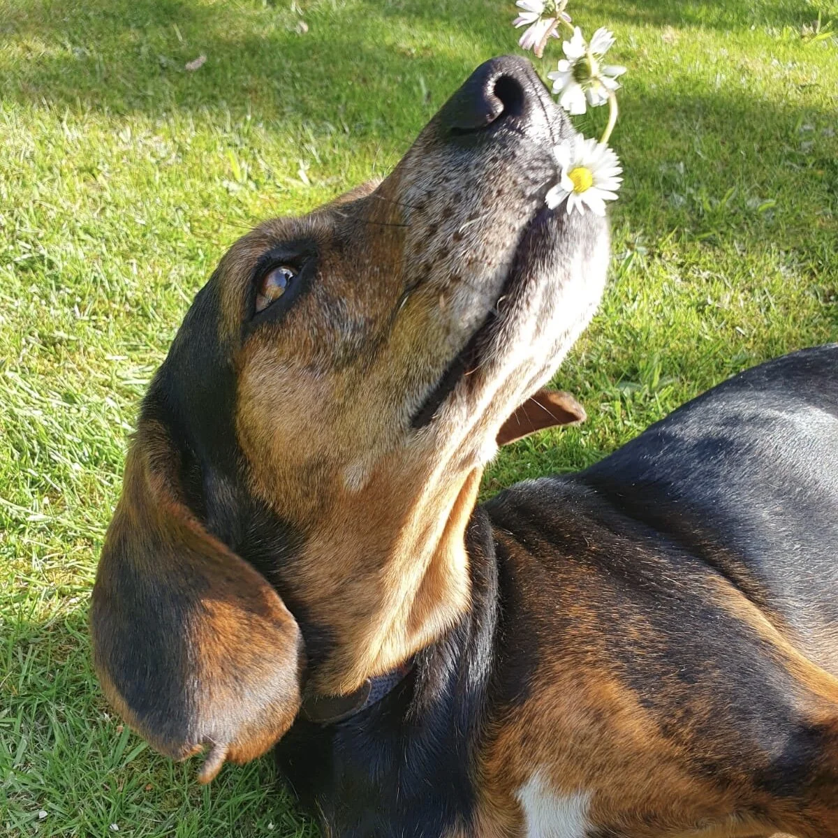 A8A9958B-AB86-4E39-A9E6-A73D582A2766