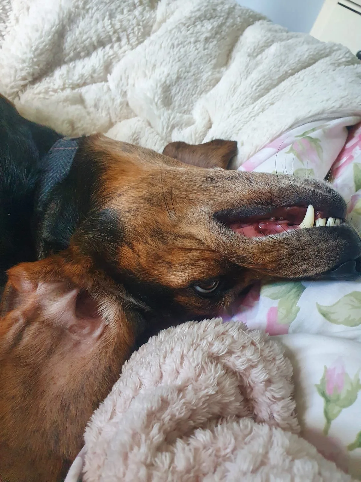 8ABA57AE-67AF-49D1-B149-A70A4D0D6AD6