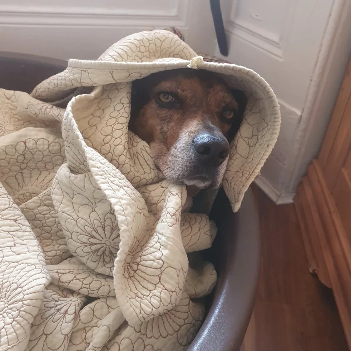 A954DA10-FD38-44A1-9DB9-9890055CFC43