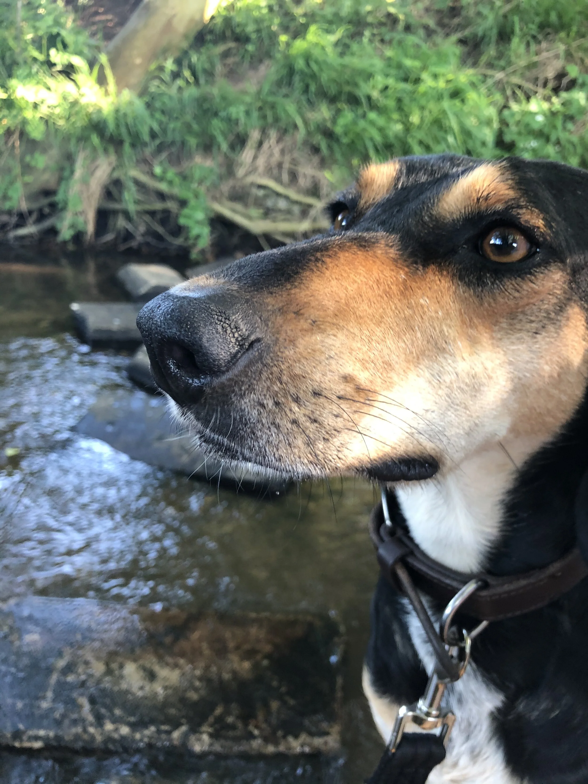 33F935D0-3536-480F-BD48-94CCCA9EE542