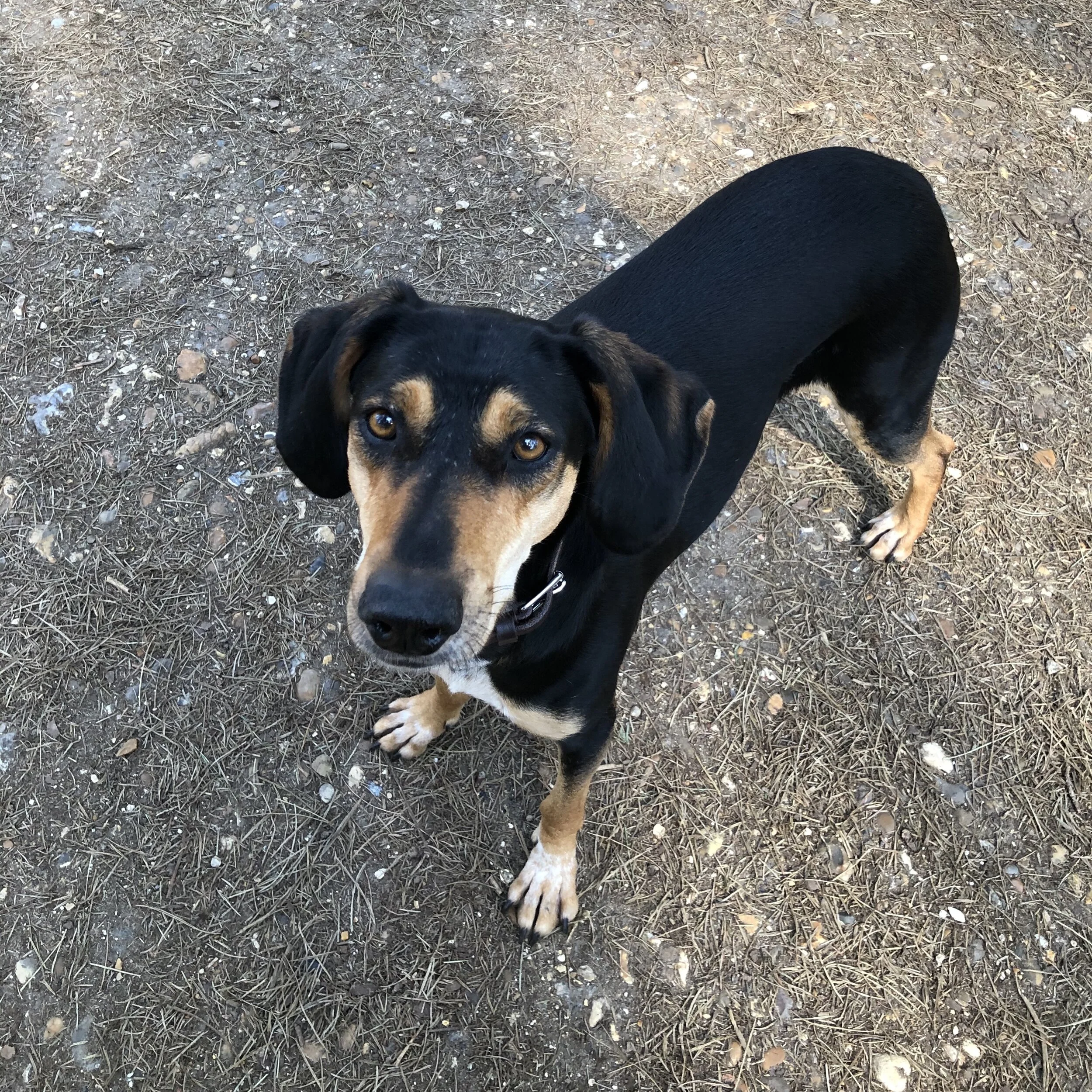 6BB46C7E-66DF-43E5-8790-EE95A3FE656D