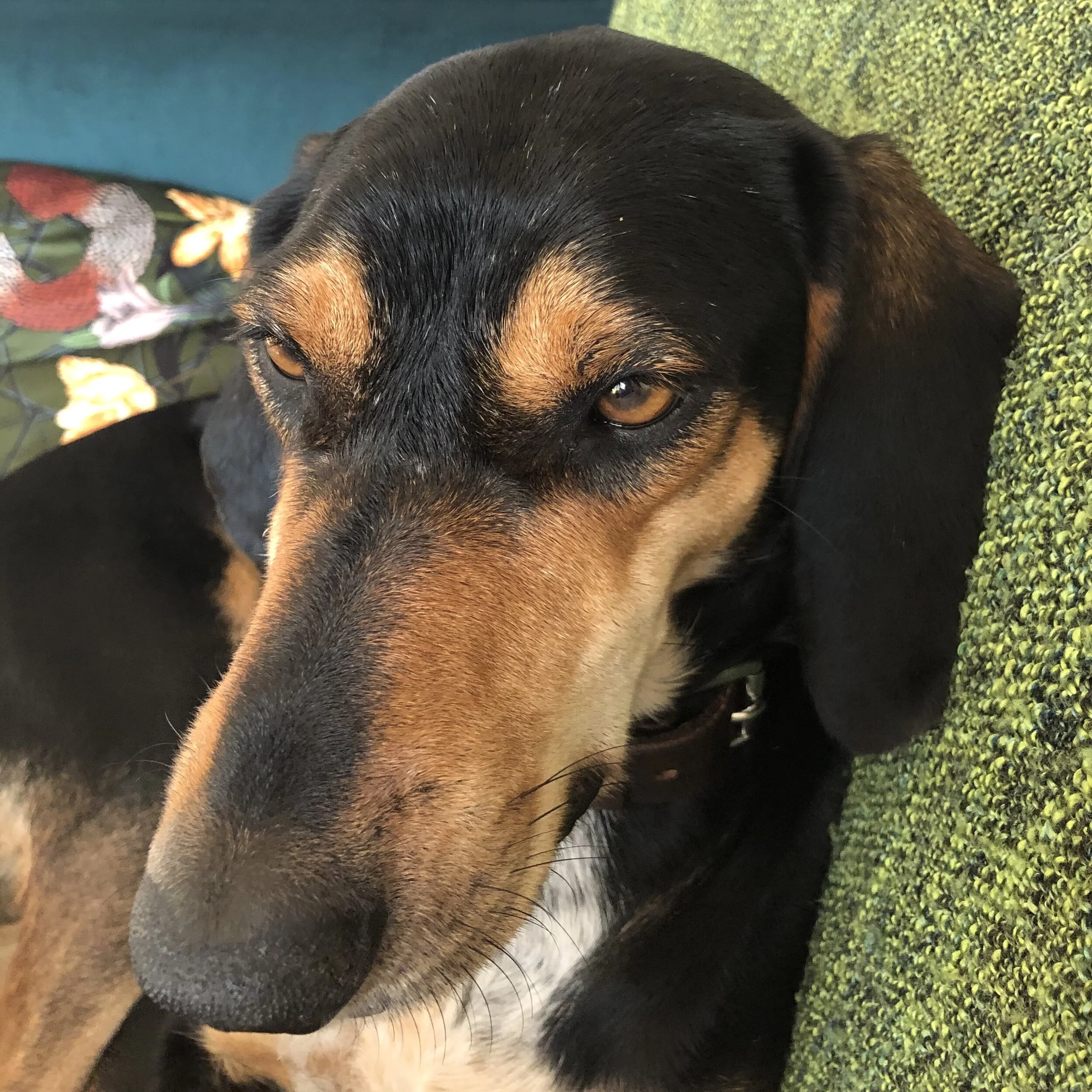 F8F5DA72-1C3F-49C5-8045-7EEB1E0AF533