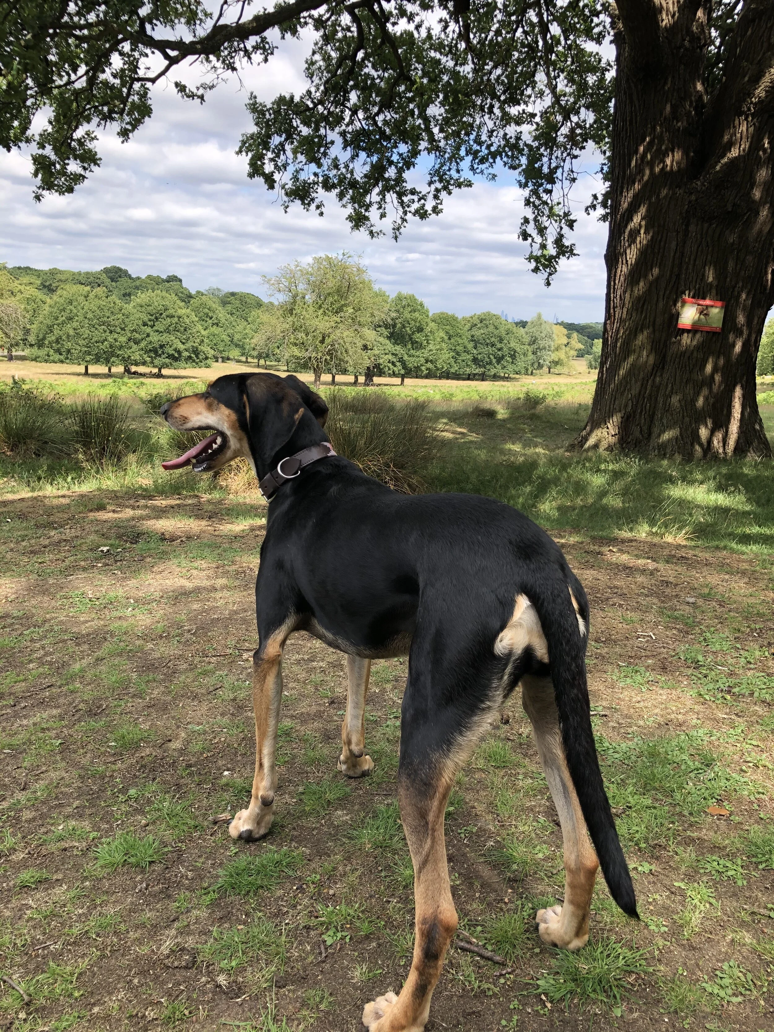 3C197D3B-5075-4F19-9341-1A8A0CBE7E8F