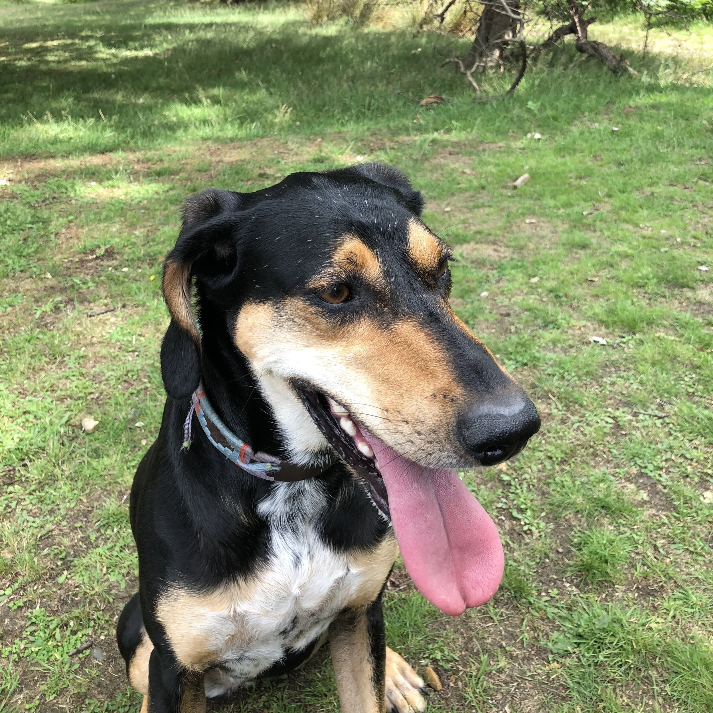 7F6C7082-5C8F-4267-8C17-28E73409EA8E