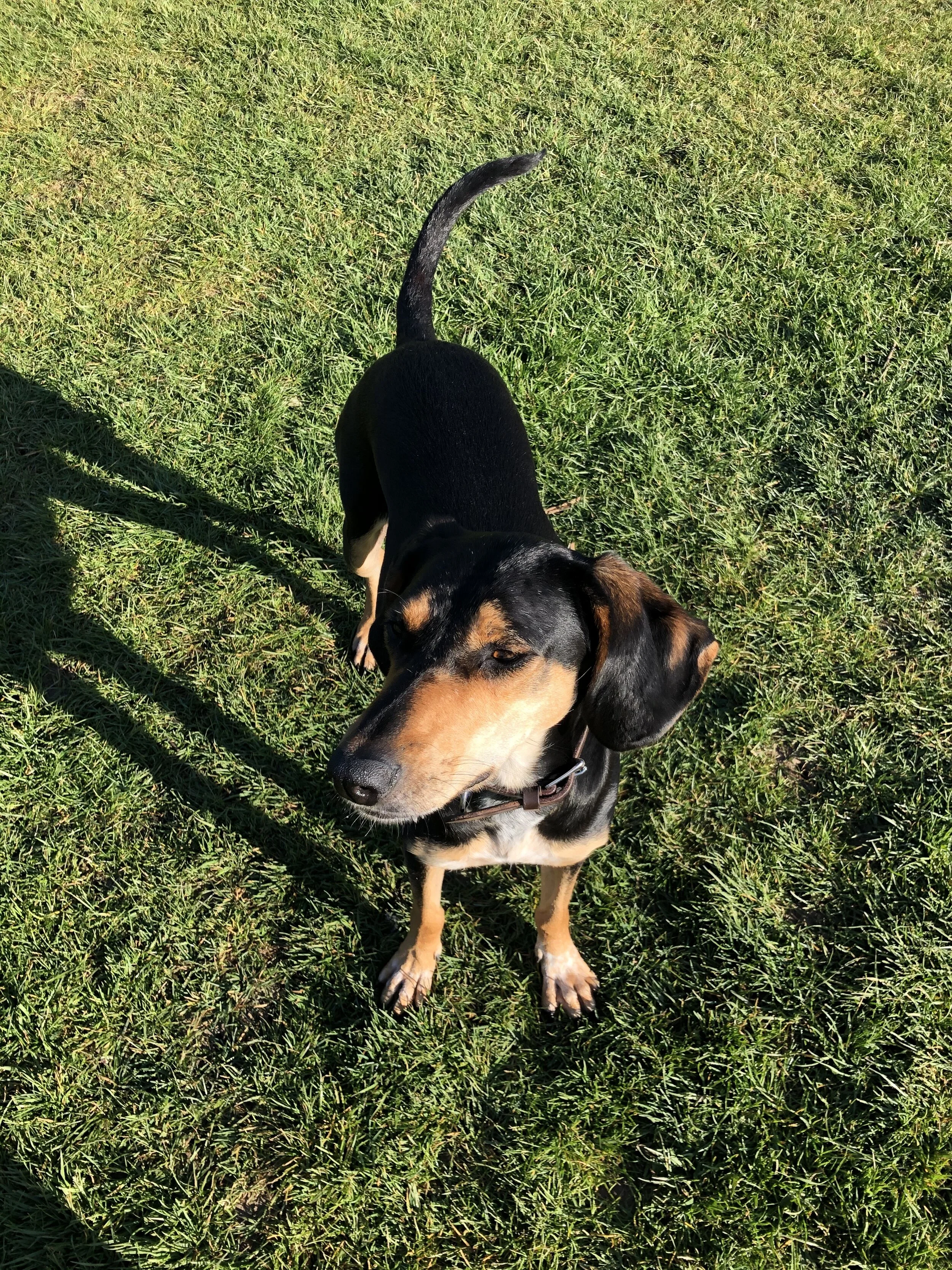 0E74A922-548A-45C8-8A19-49C4B05CEF02