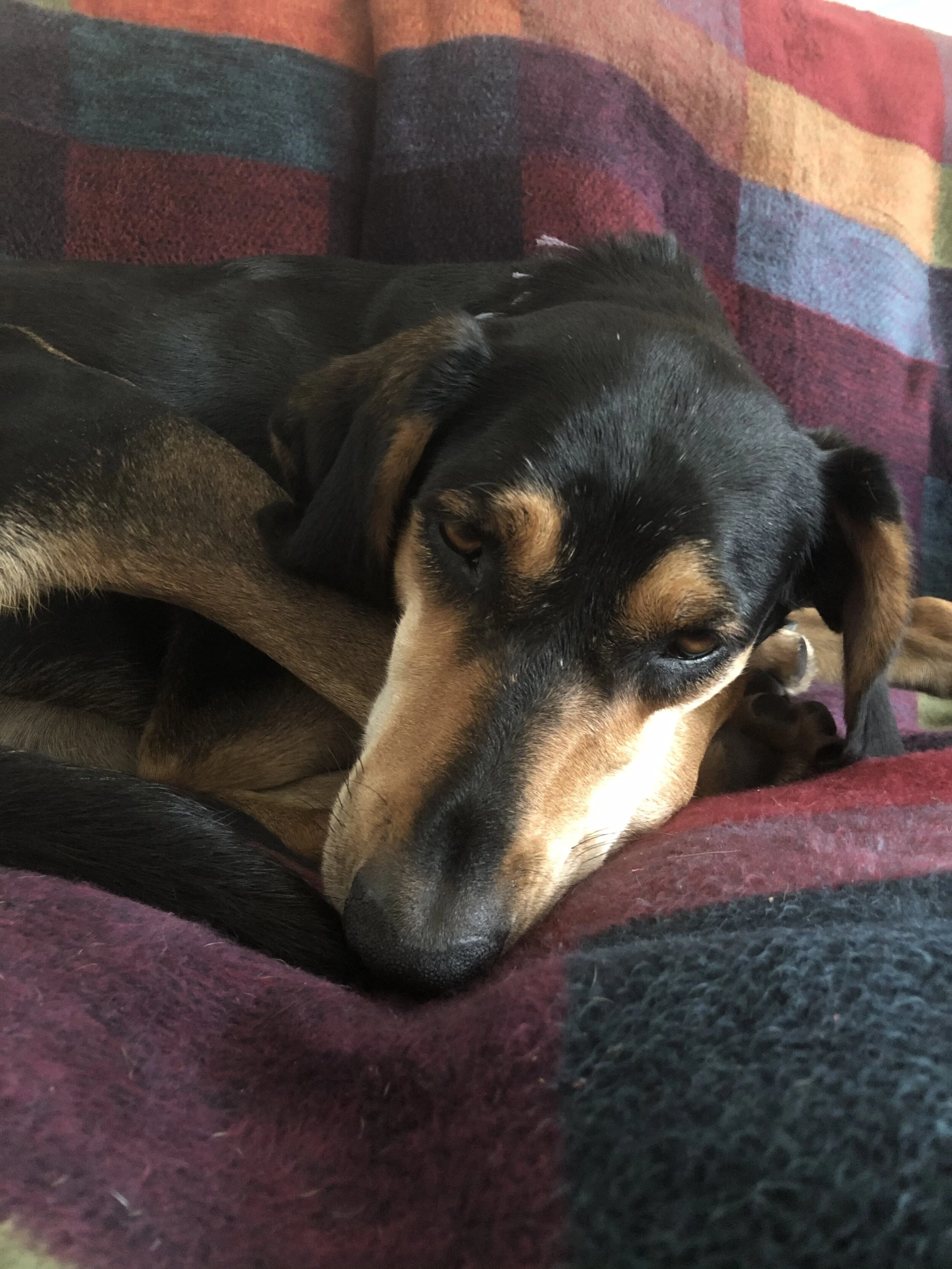 2CB1ECC1-8C42-4F8B-8FCA-4551316C6842