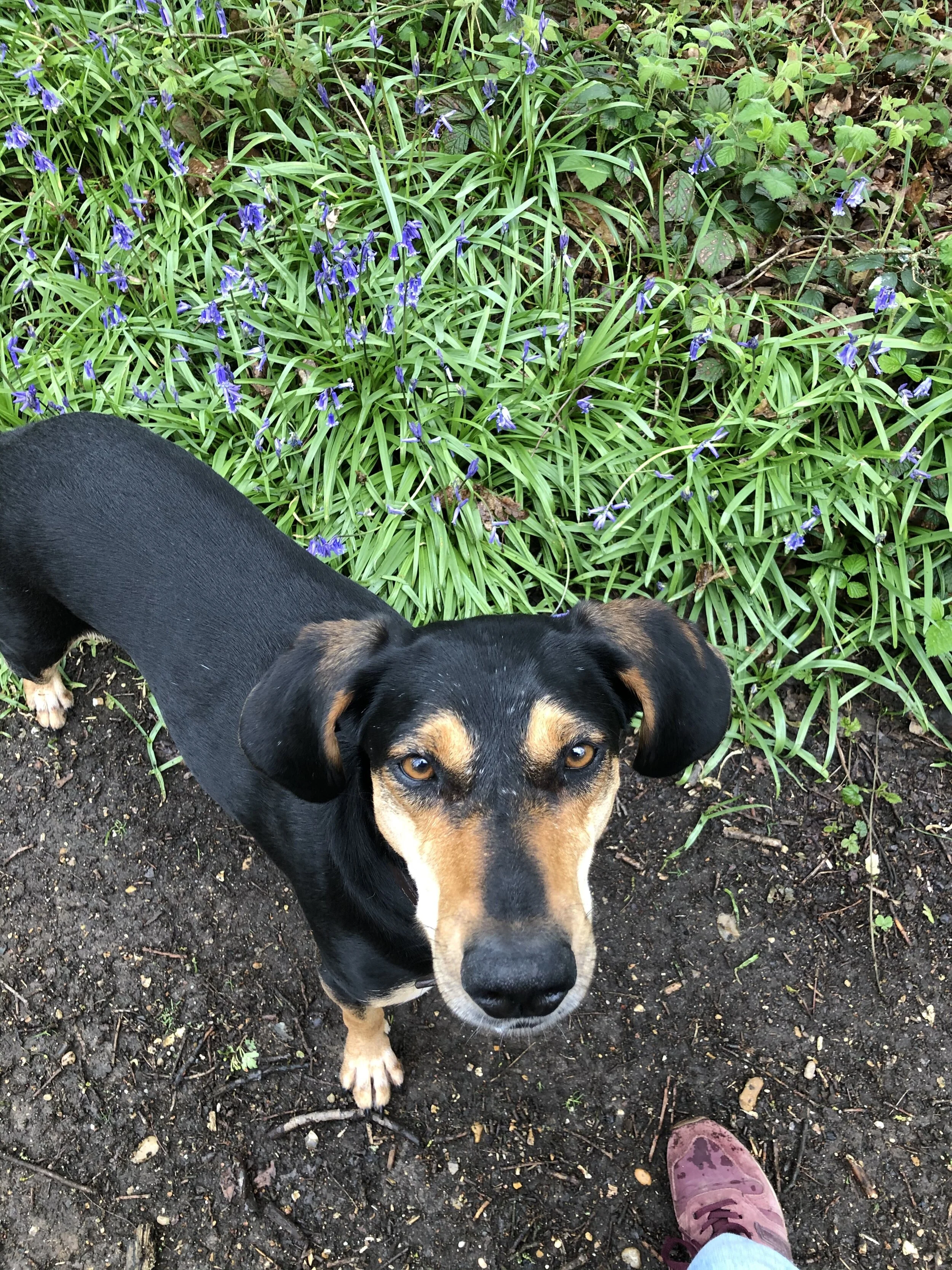 0C1F59B4-D736-4FDB-93A1-3DADB35CA7C2