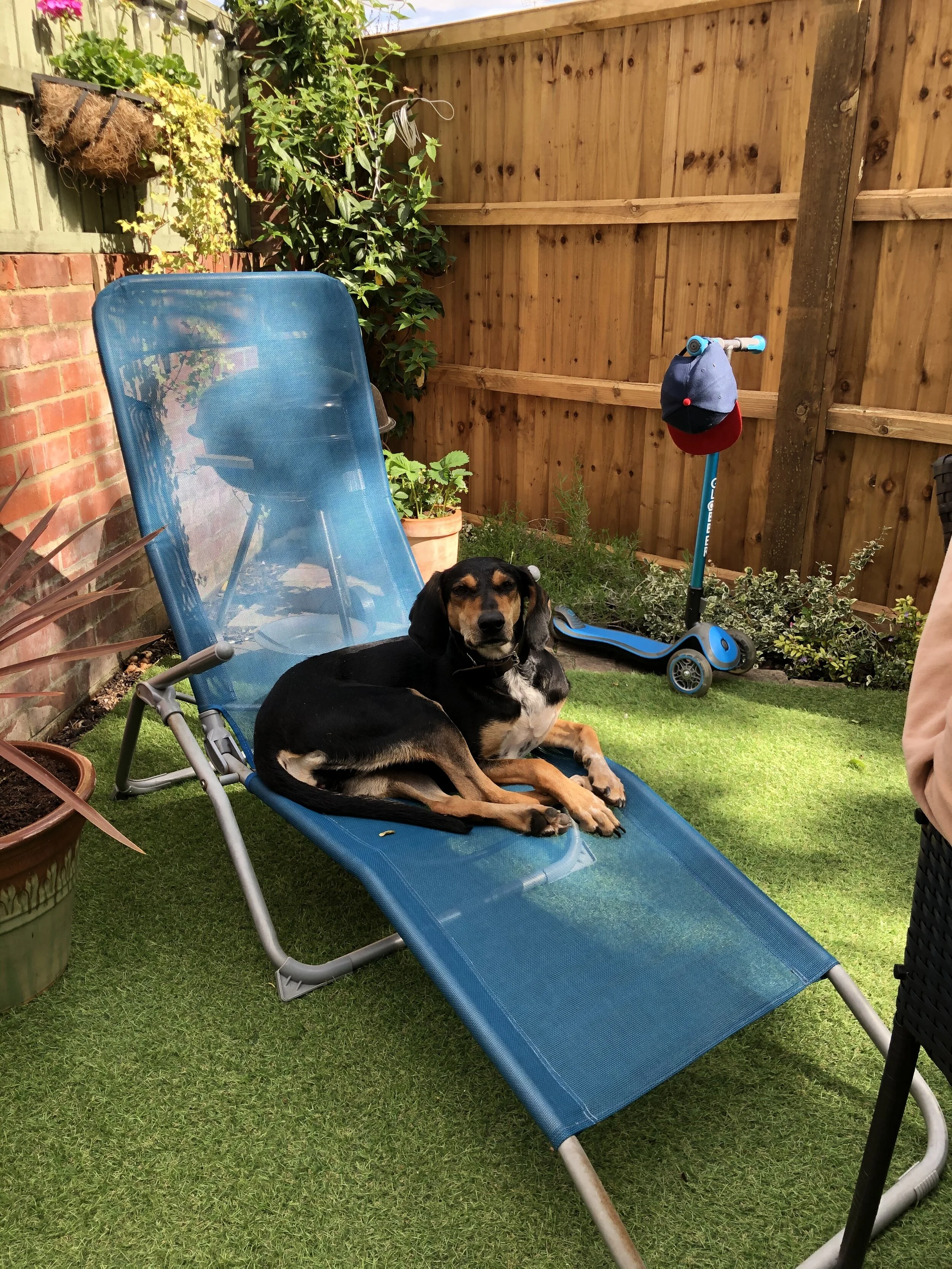 BF2850C0-6783-4047-A36C-AD26B44374BD