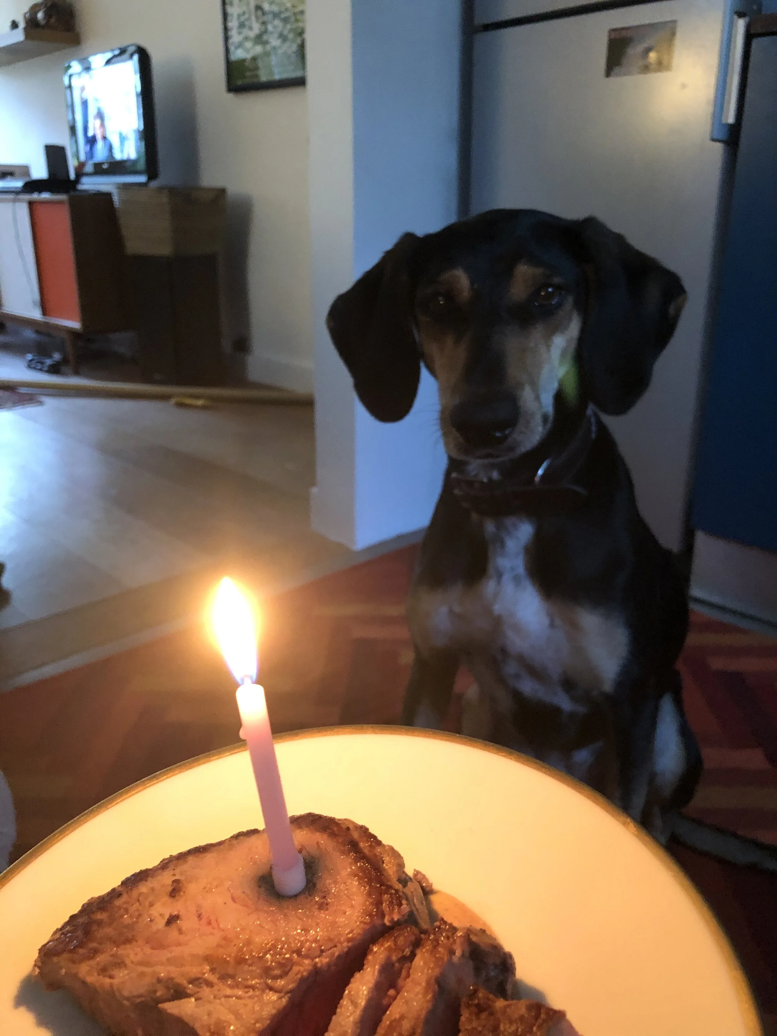 A96F30D1-9EEB-4191-BAF0-34B0C595F661