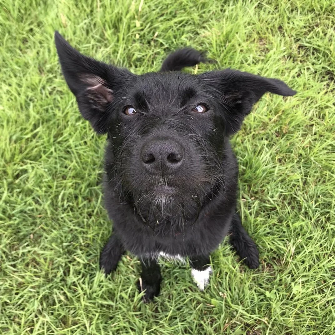 E64F4BA5-245E-40A0-9C1D-1DA59E584972