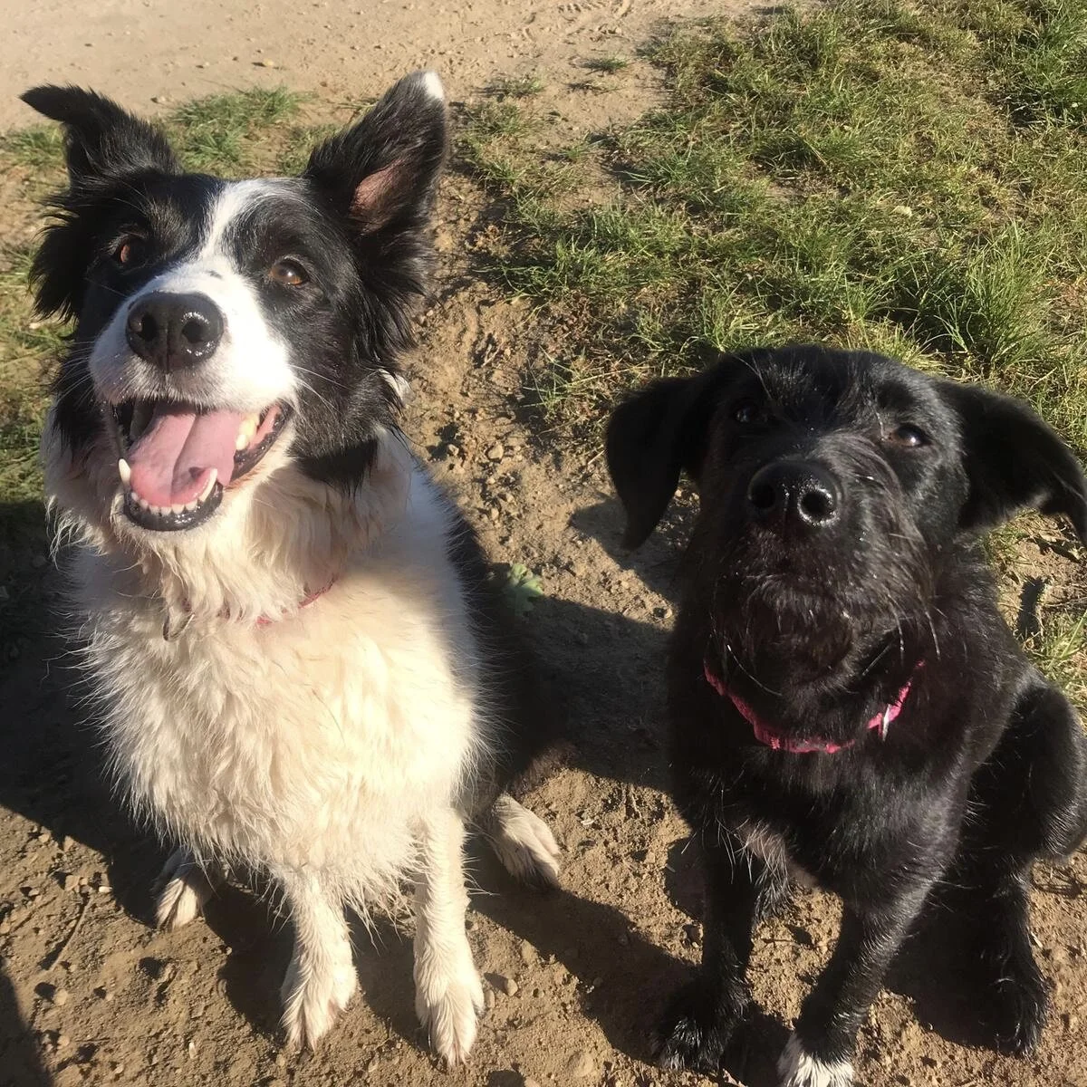 2EA631ED-CE08-48D1-8C3E-9DC5B5EB2734