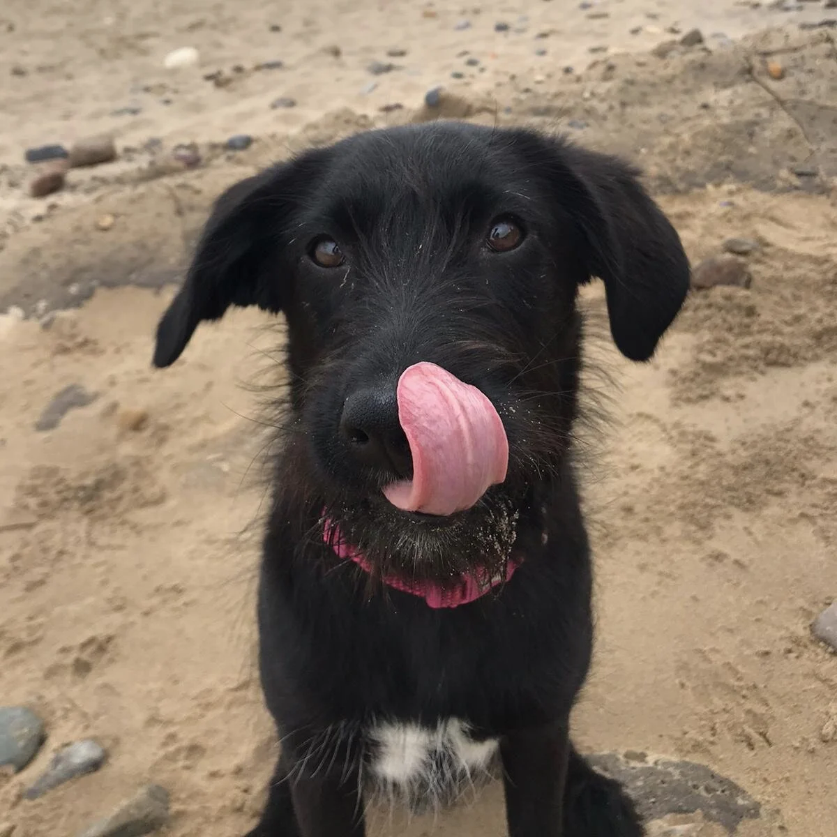 07F1755E-A72F-4CE5-99B9-3DA2607A85D6