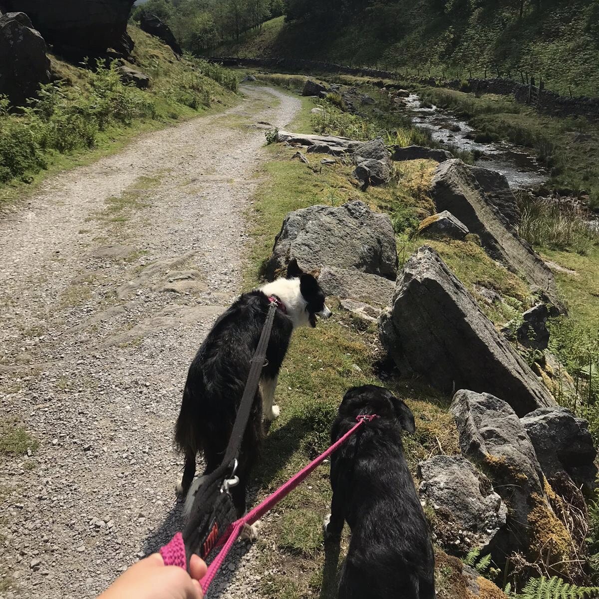 EBA621D6-76C0-4FB6-97D5-79AF50A5C47B