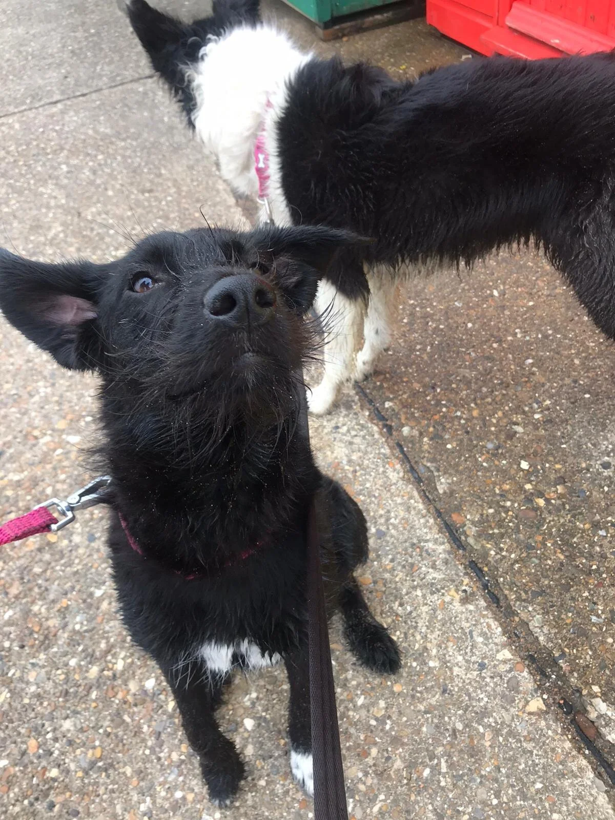 F126244F-42A0-4E53-839E-587341AE0563