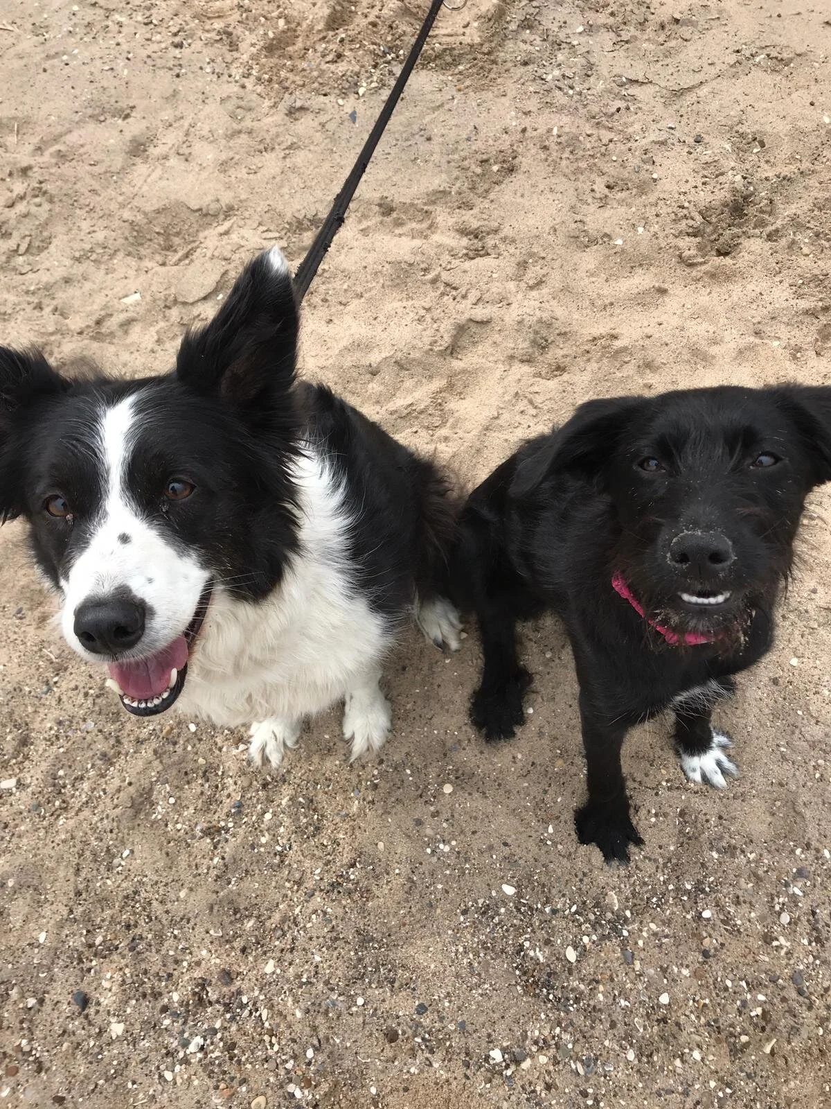 877E715C-C042-45F6-9EF1-B42B0681CF9C