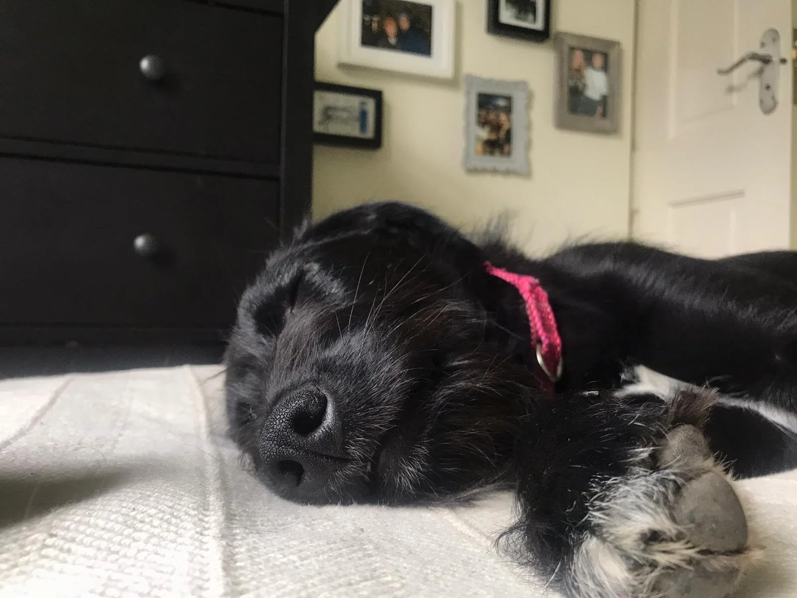 799762C2-D7C2-47D9-A1EE-3FBC07411CCF