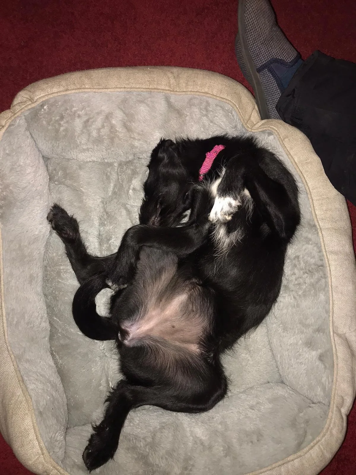 F9C4B69C-B724-4F55-9B39-E061DB96DEDF