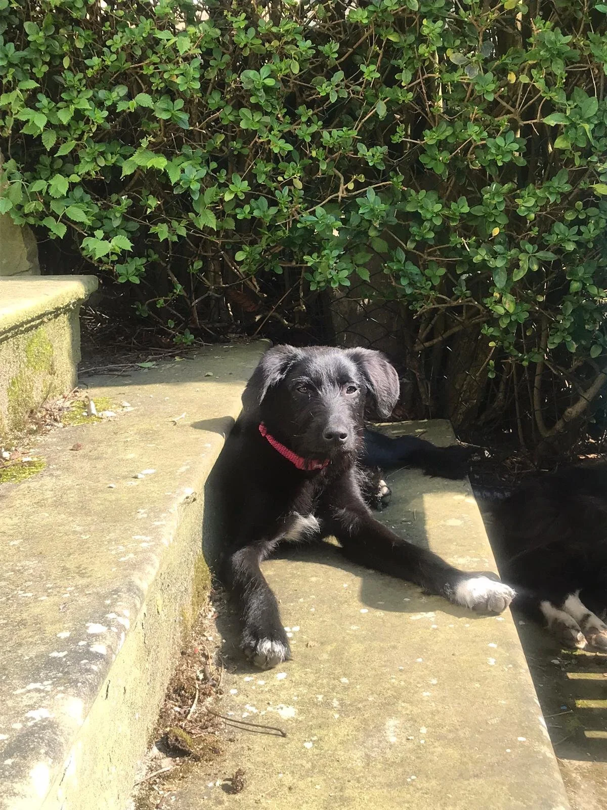 9286CFBA-5C97-4DC7-9C5F-57602B31CD1D