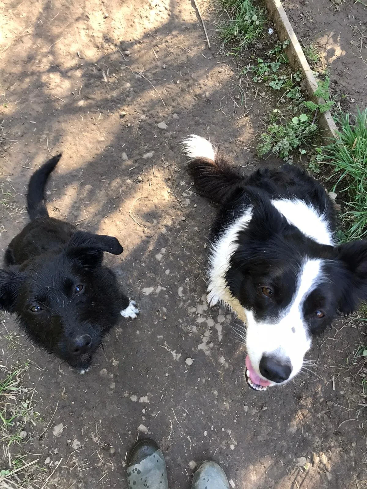 C6C46F6E-C56F-4EF7-9BE9-7397DA573728