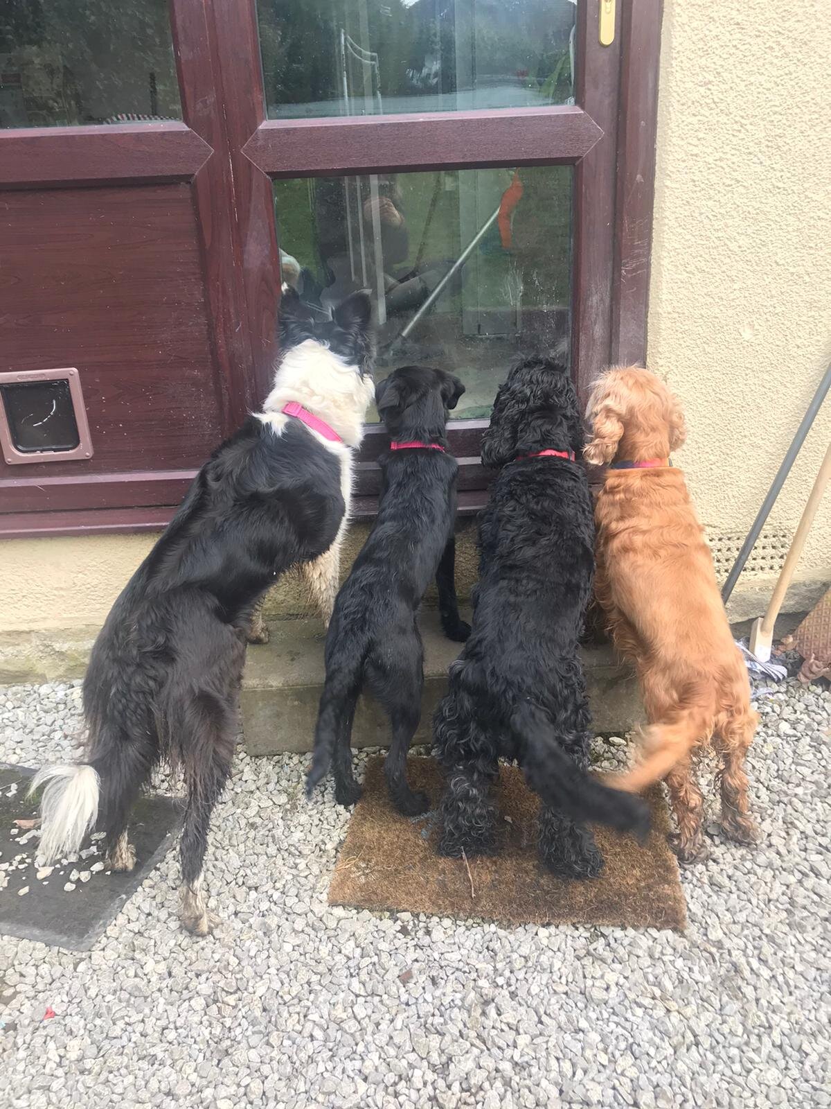 6D7A9C22-F124-4C0A-866E-5606D6C61368