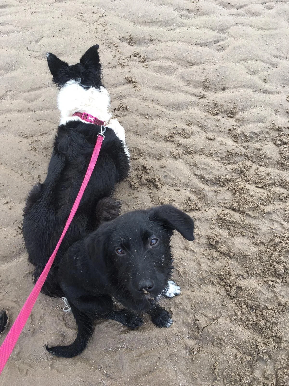 06CEF9D1-DF4C-4386-BF8C-488C26EDA833