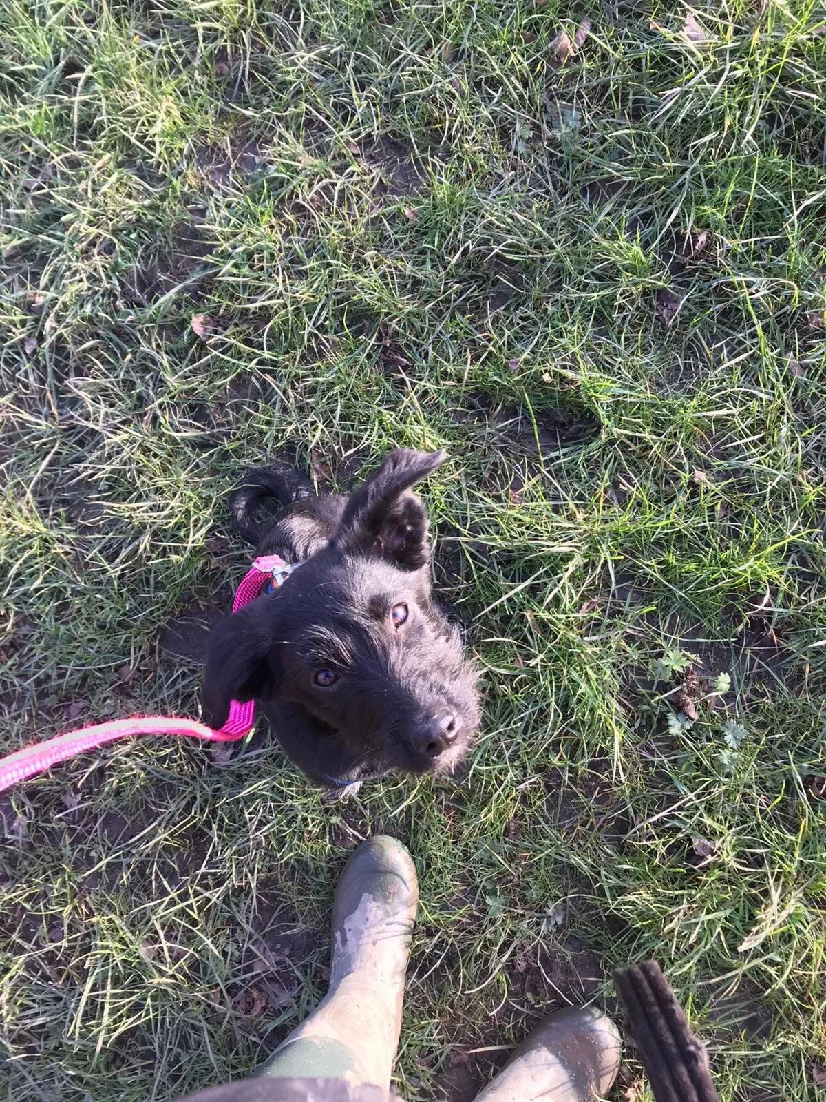 4E28E898-AF0A-4A25-8436-B08BD155D1B8