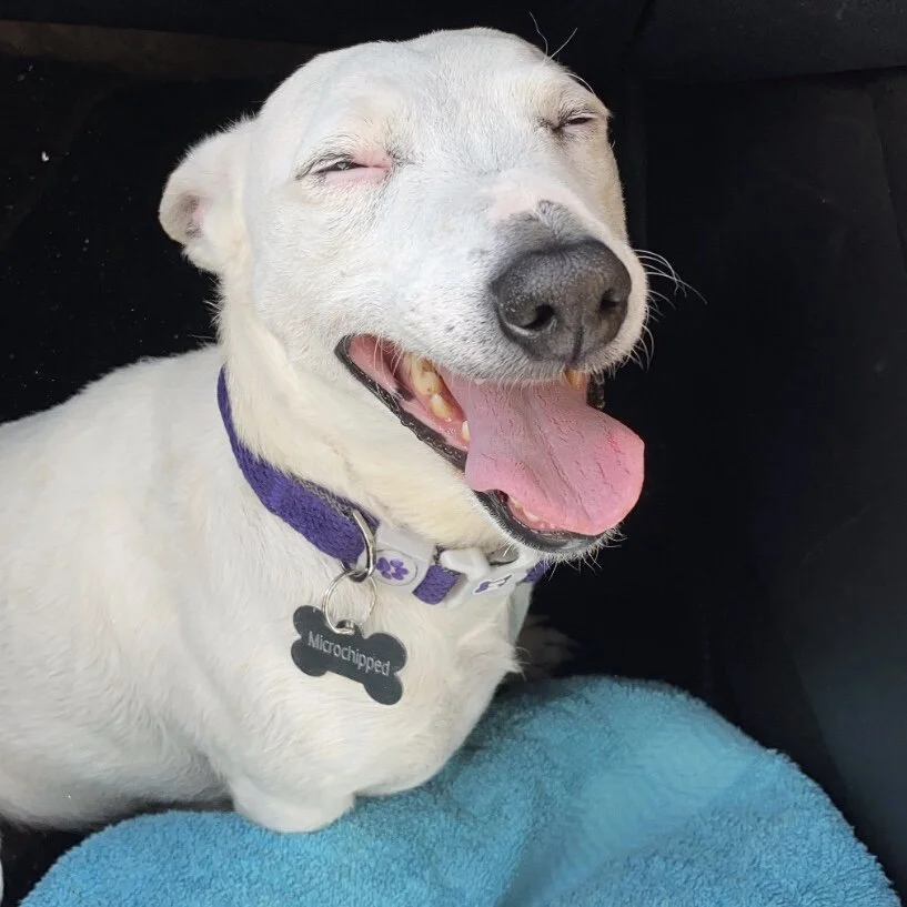 4C292D80-0139-45D1-B830-AD59ED1E0FE6