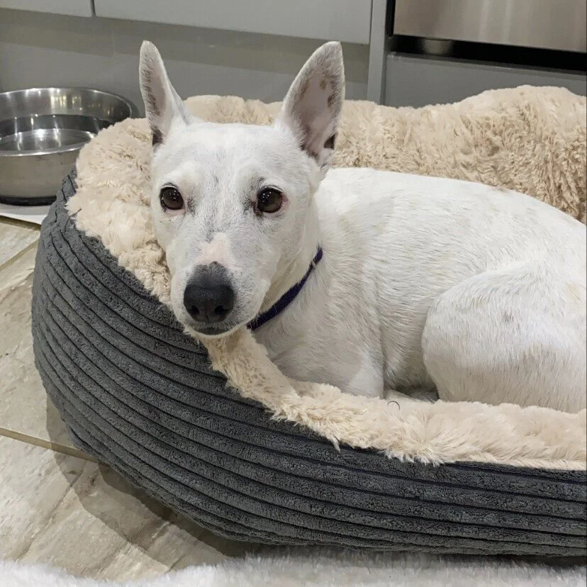 8DB90DEB-139A-4939-8E01-1EB9589312A2