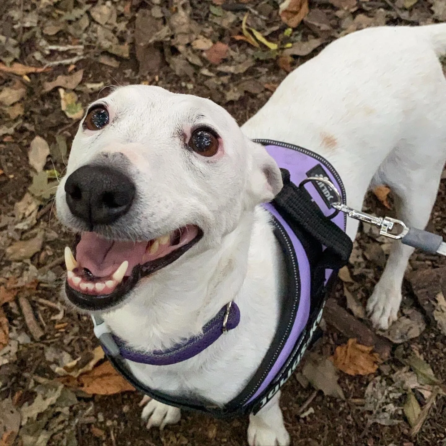 0CF80E11-DC0C-43D1-BE10-C9B19785B377