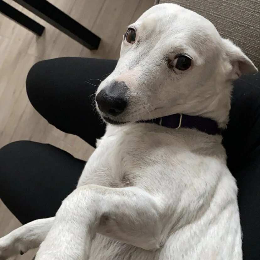 FFB03B84-3EC6-4B66-B3CC-17C1070C30F3