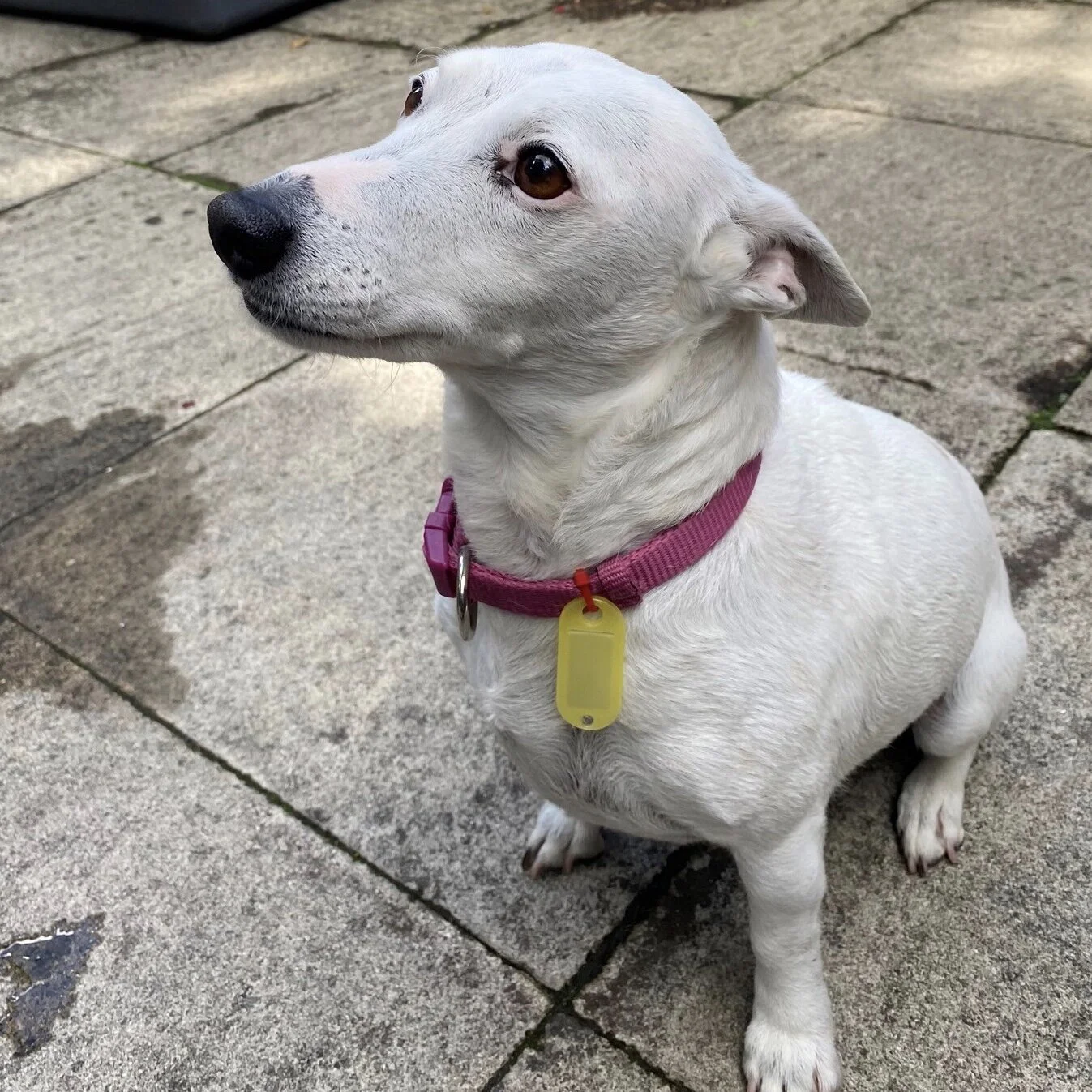 1DB37B57-AF1A-4ABF-8213-891A8A544344