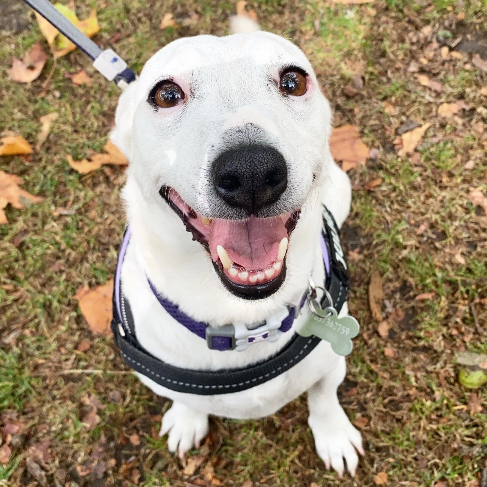 FCED2ADE-811C-4ED4-87EC-6AE4CFB90242