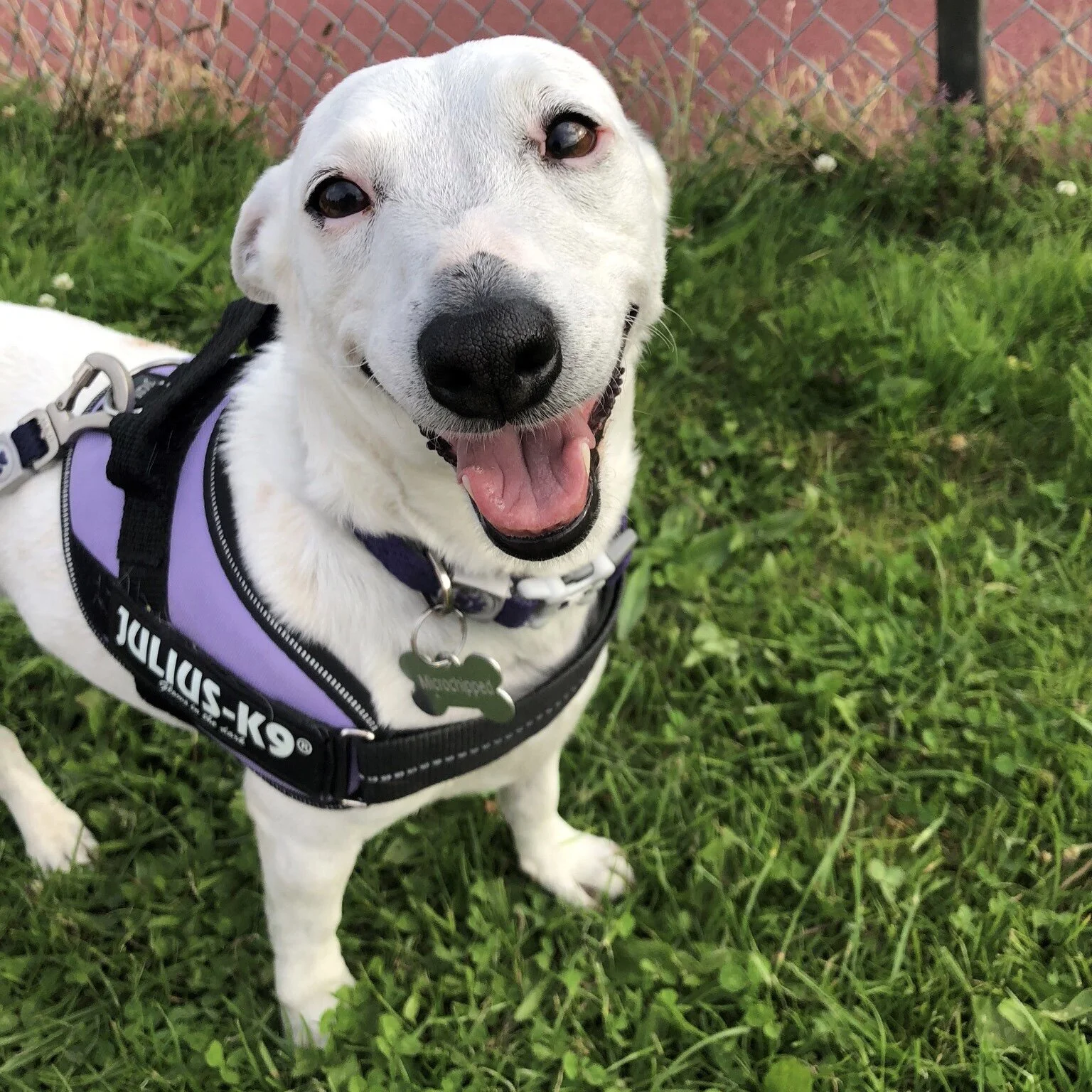 1A3FABE7-0770-4883-982D-EA6B30F1BF1E