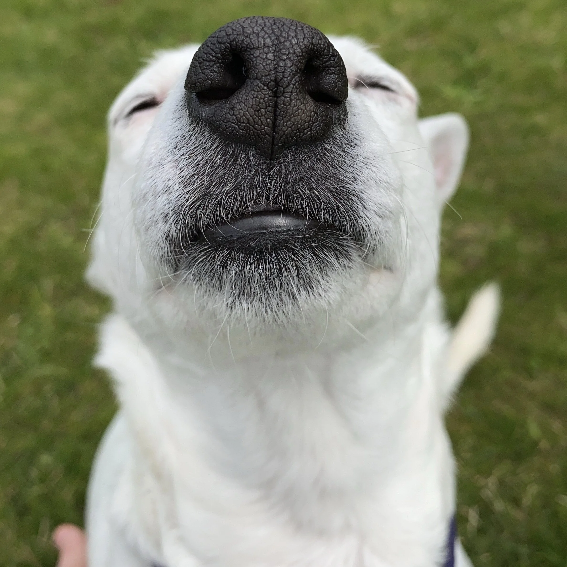 5D79864A-860F-438A-9818-18822FCFDD55