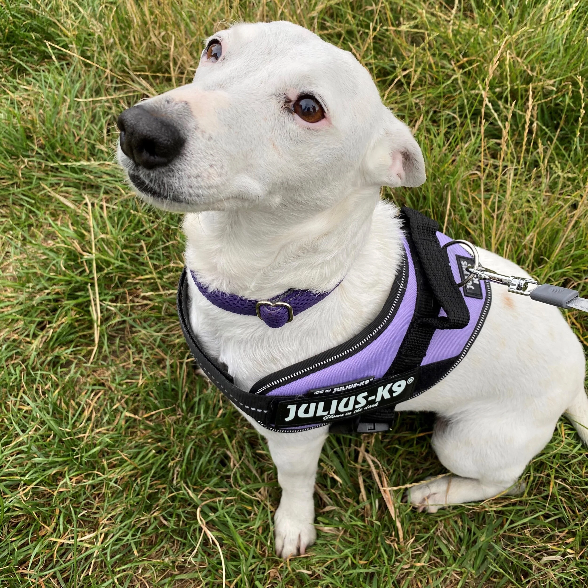 42BAEE0A-F4CA-4B2B-9EE4-60DC27B99834