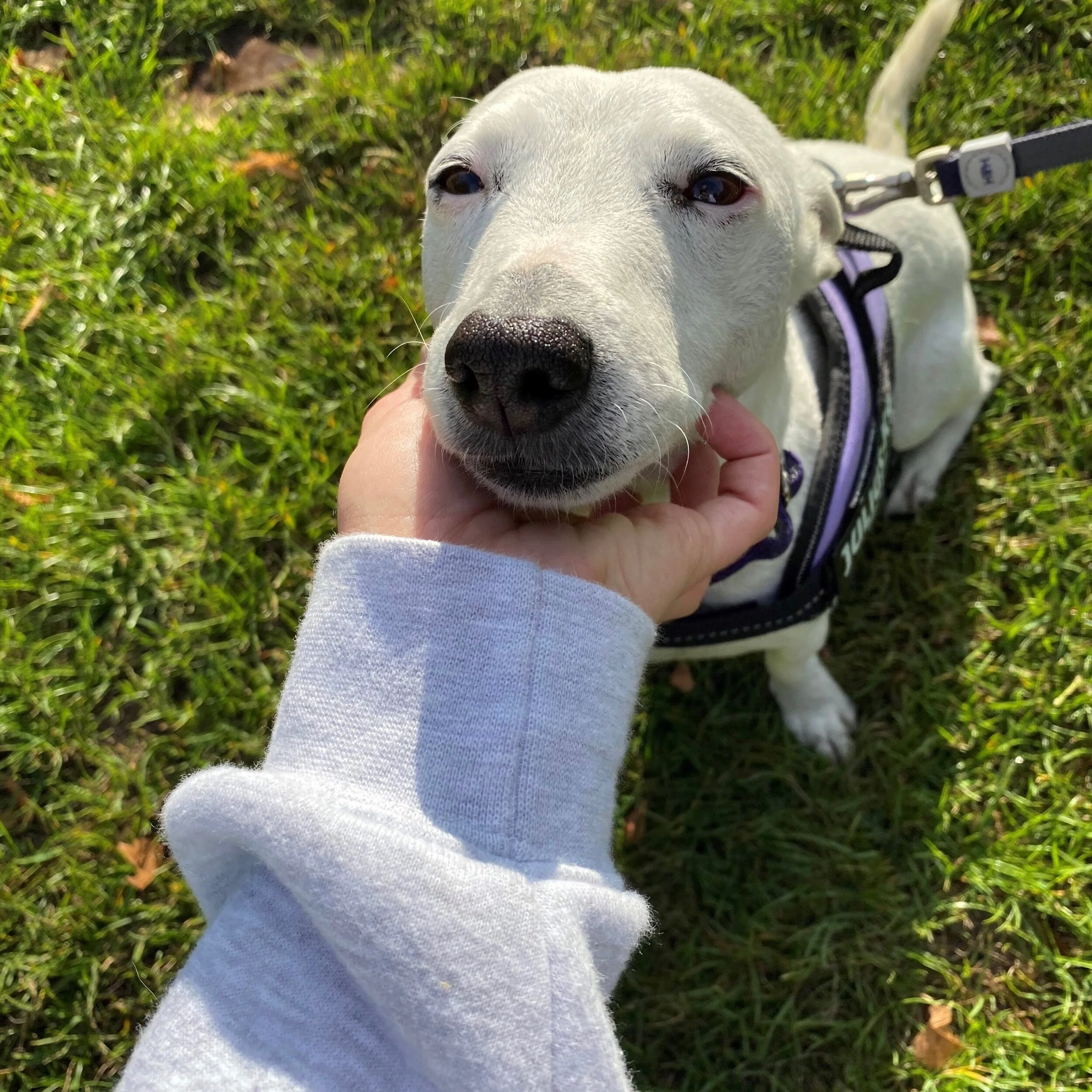 376ABE7B-7BA3-4829-9E5E-BD9C6702FB9B