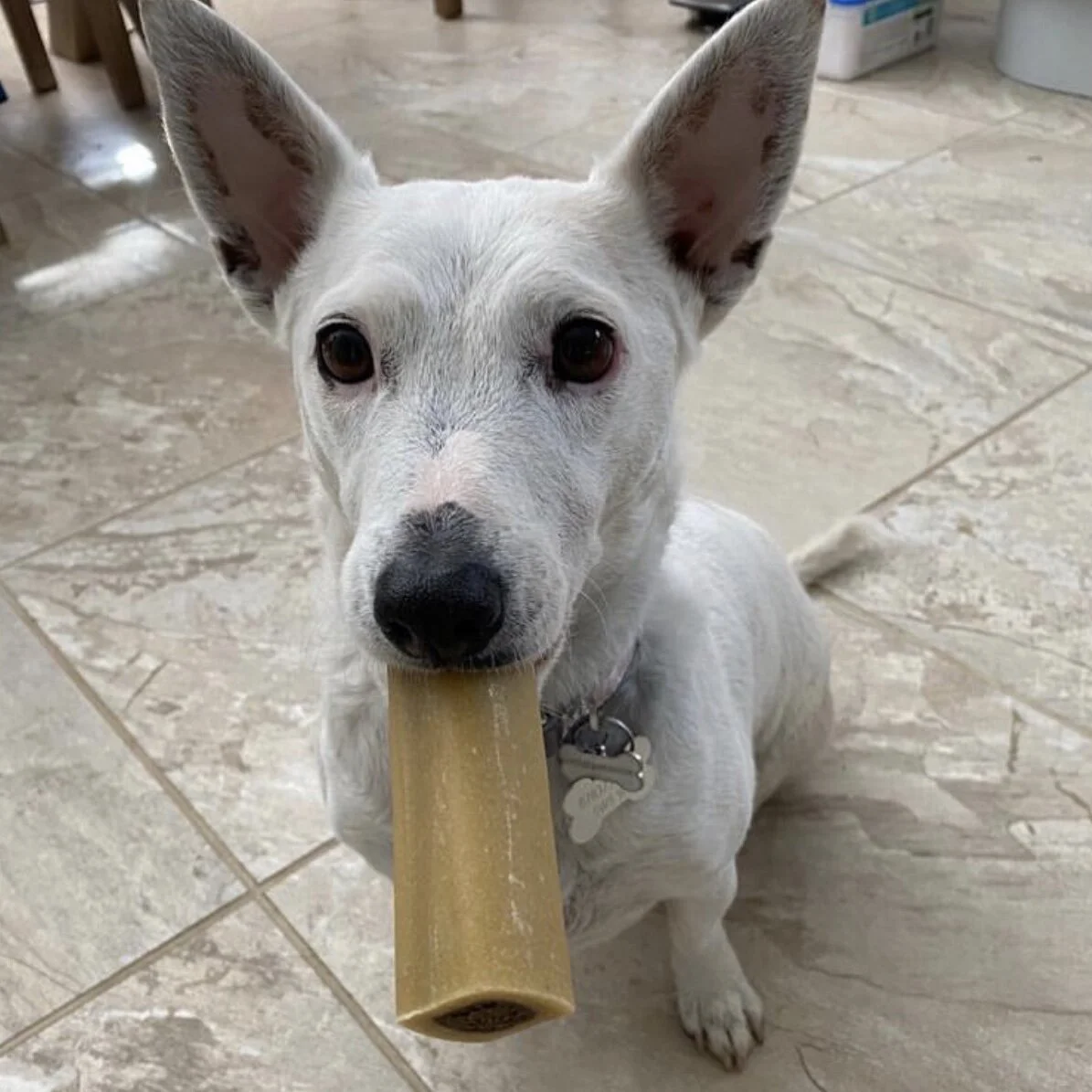 1EA4EB5B-20F2-4AFD-8019-A0D511E08256