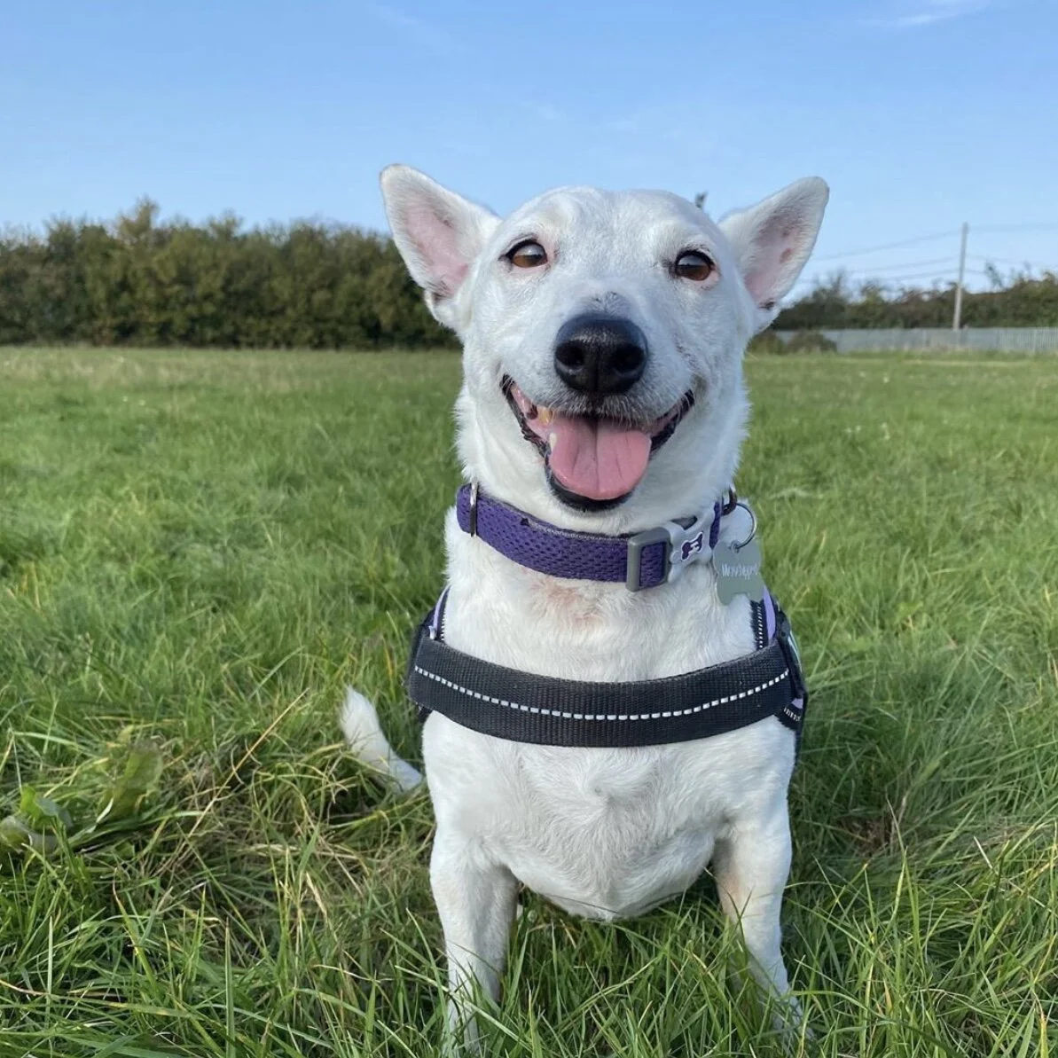 5D068C02-4BFB-4DEA-8AC2-F43602EE02CC