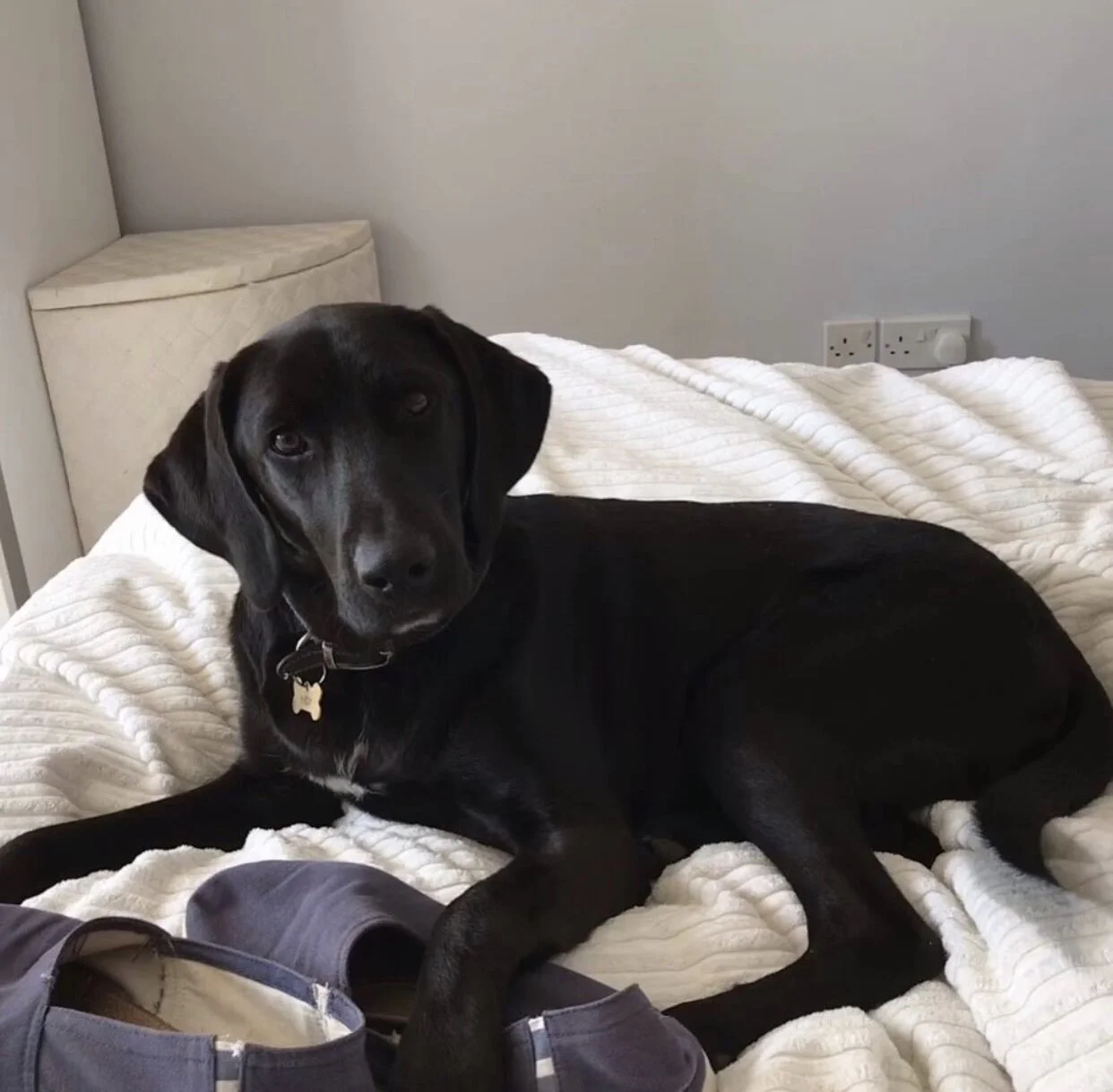 3E5C0350-A09C-4101-8CE6-E28BA90DED2D