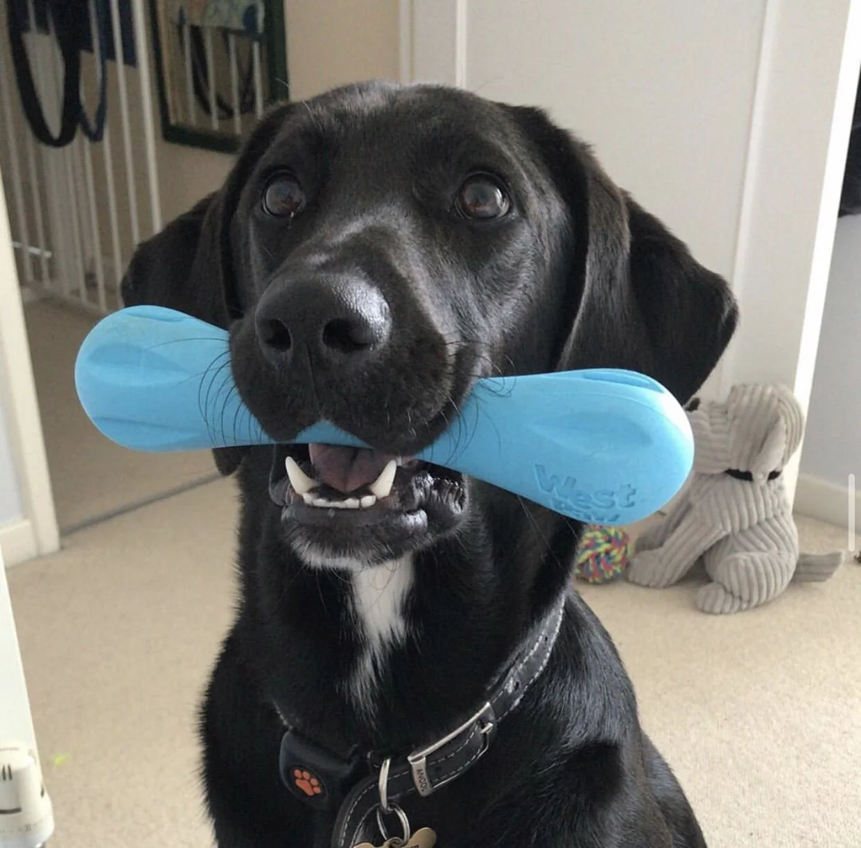 8B637F95-1A12-4AE2-AB0E-058AEE4F6ADC