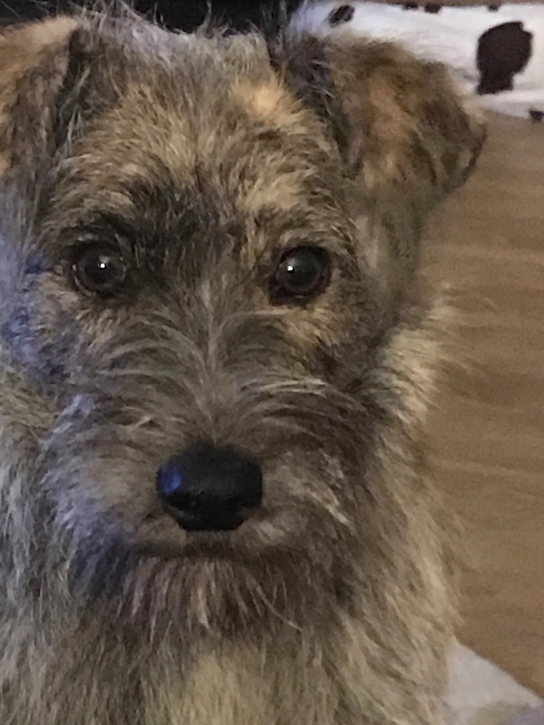 4EB92BDA-649A-4B17-905D-220EEAF7FDFB