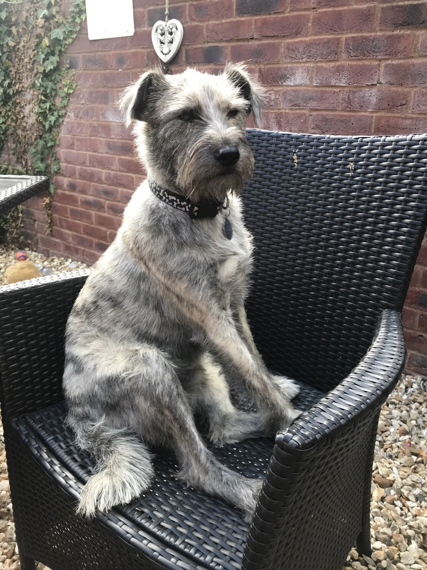 5B3208A2-0452-44B6-BDCC-21175008DC3B