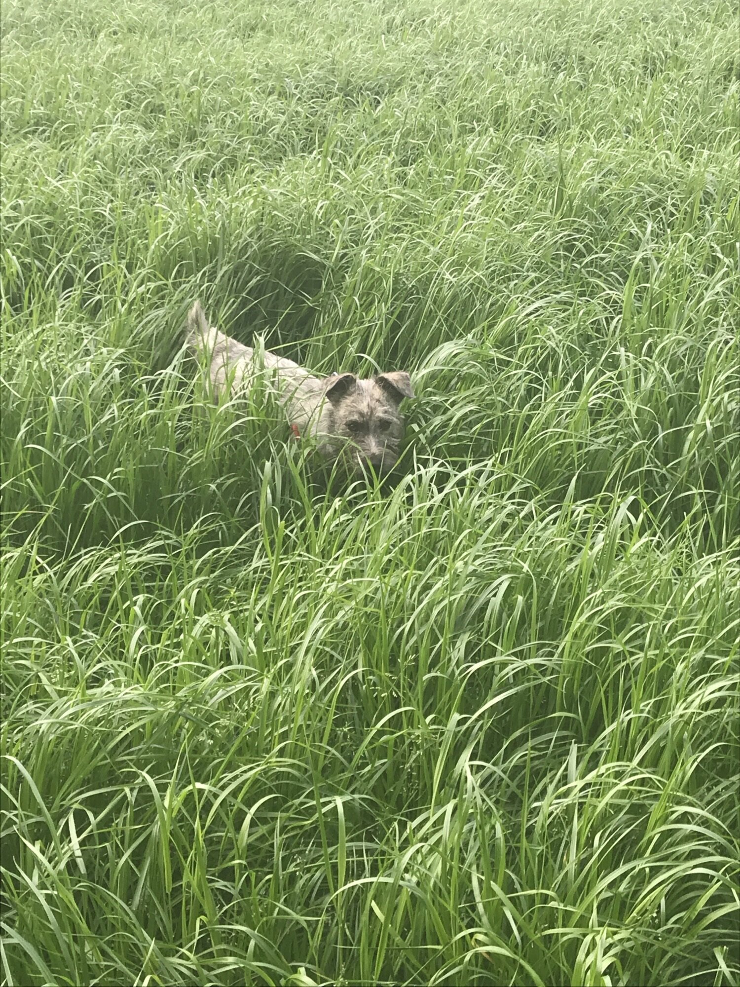 B042272F-8980-44C8-8F07-2FECC16189F6