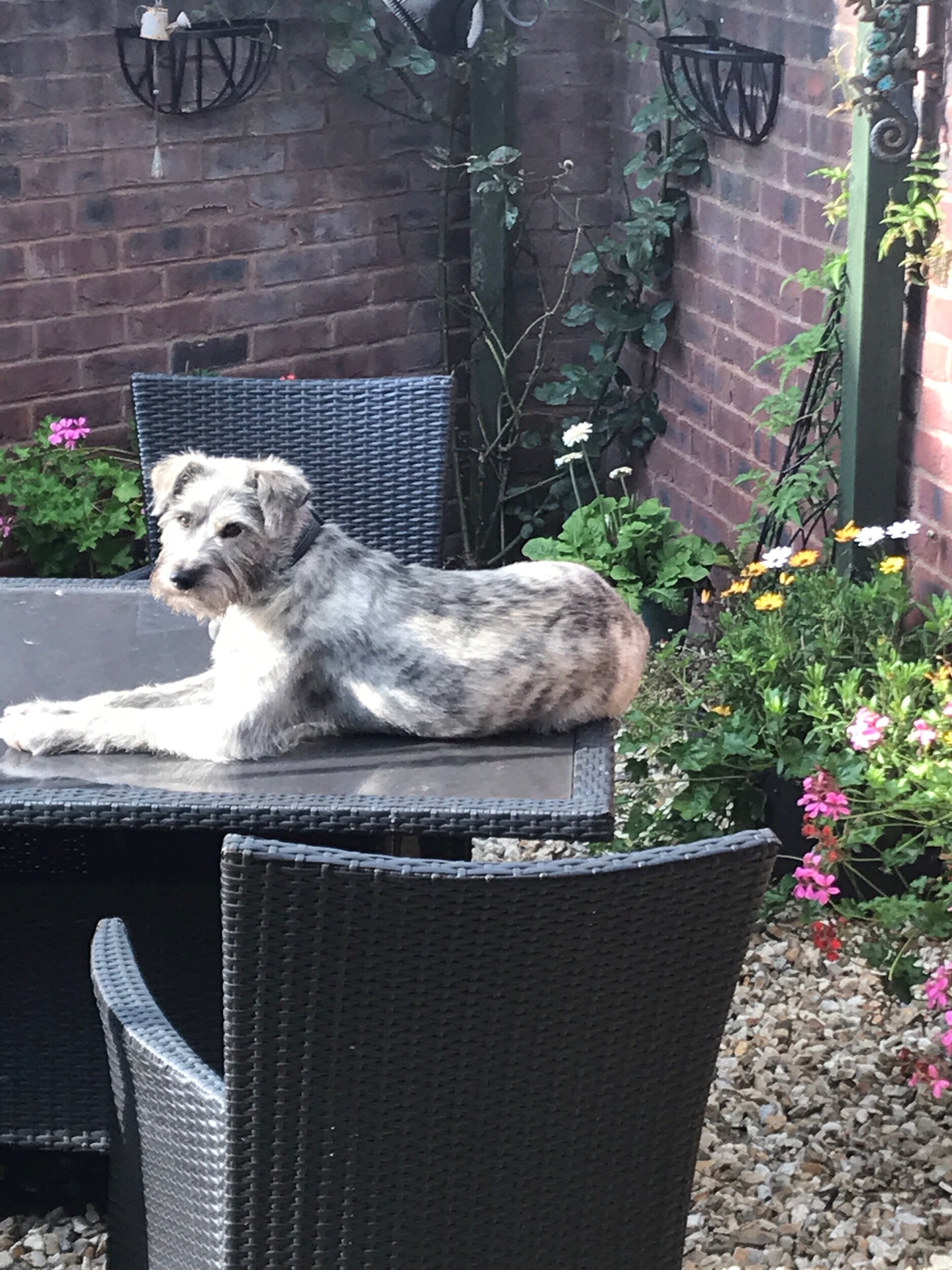 50D1E5E9-C92B-4E7B-A0DE-80DF23BB8F34