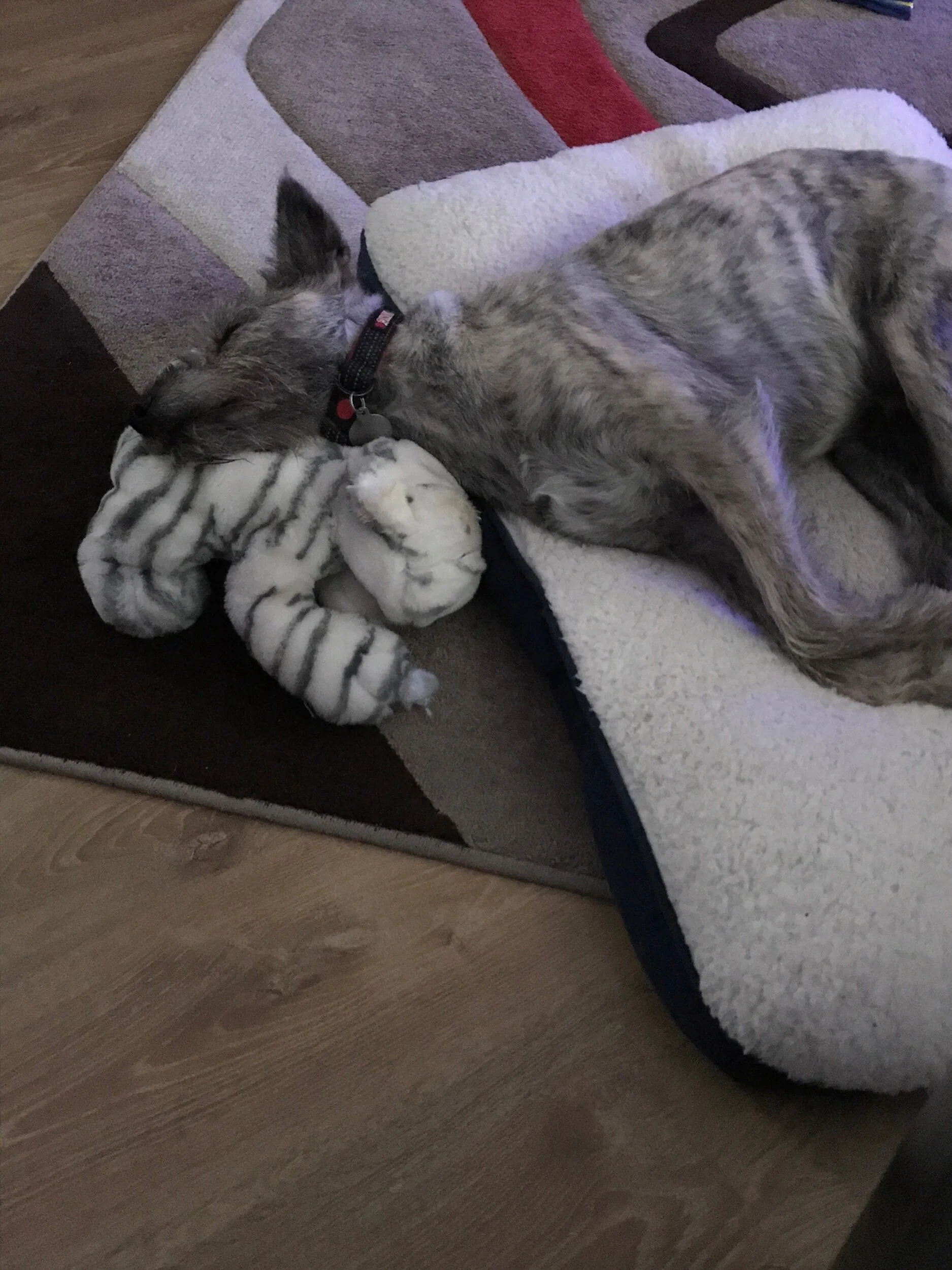 6E0E78C8-430E-4D04-A458-D18D9C492A7F