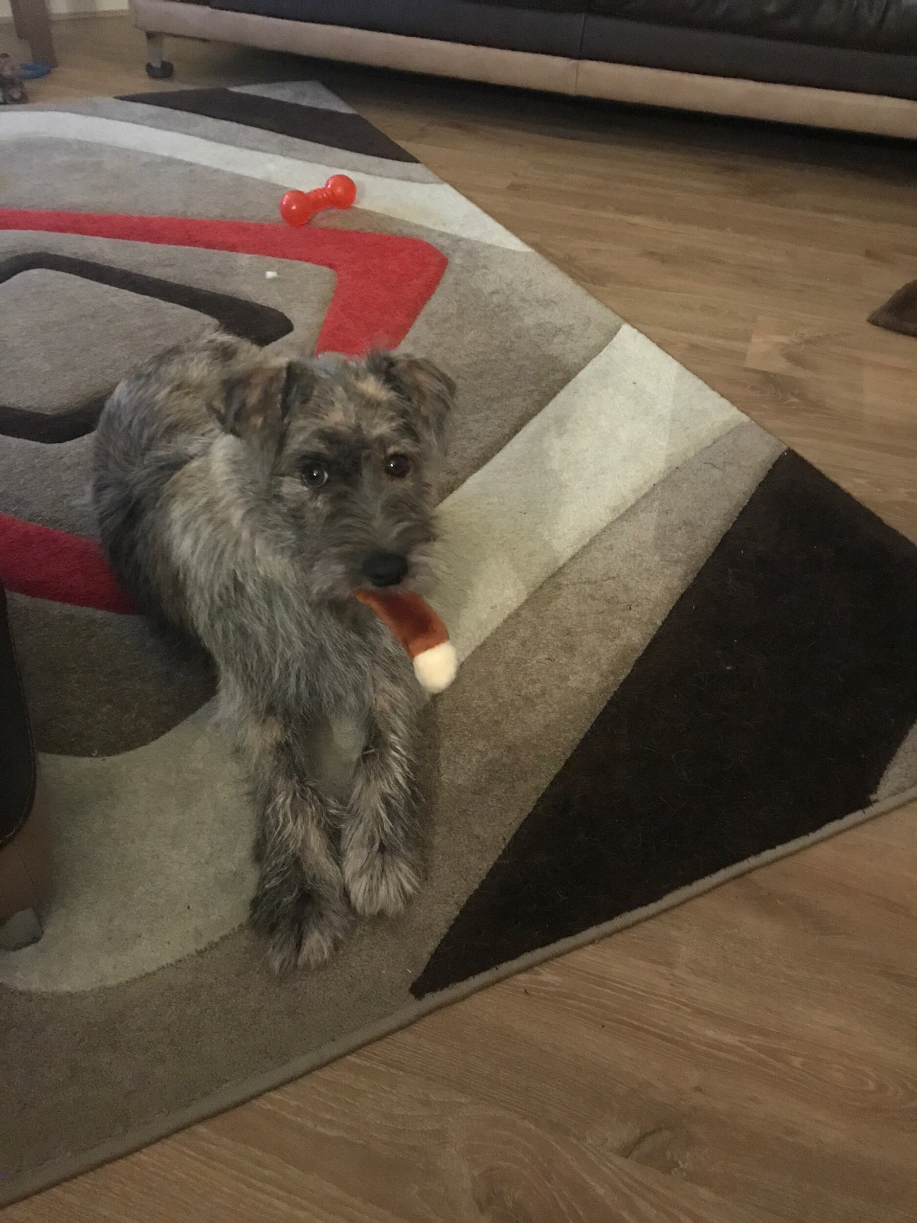 B080177F-9114-4DF2-BC11-F0644AF42926