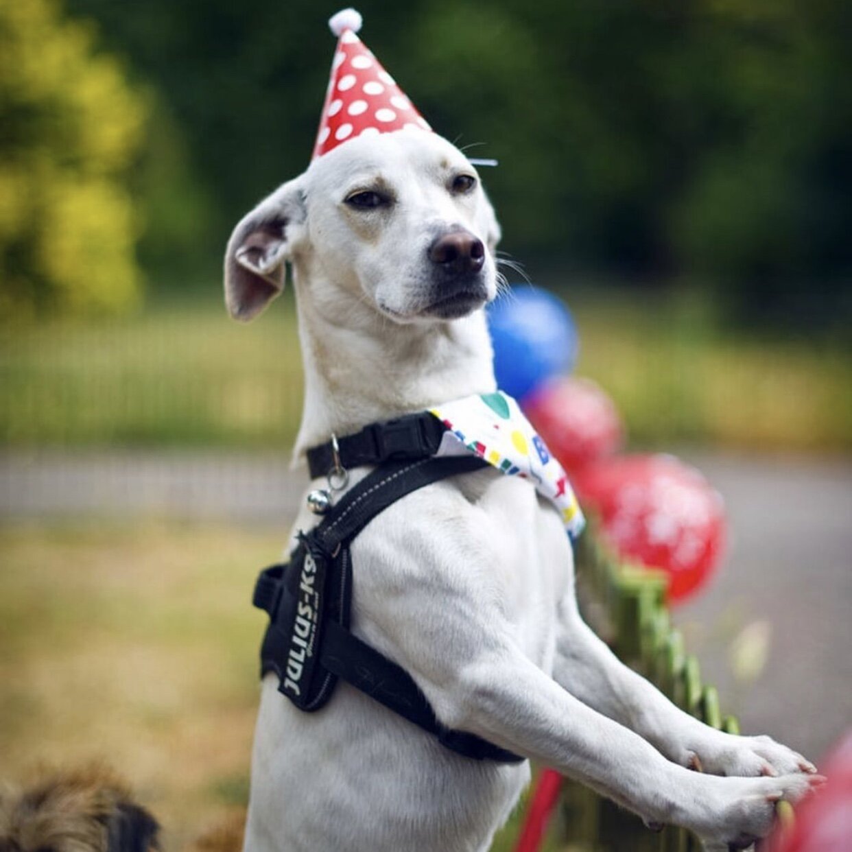 982AD636-D48D-4C85-BB16-C70A25F0B530