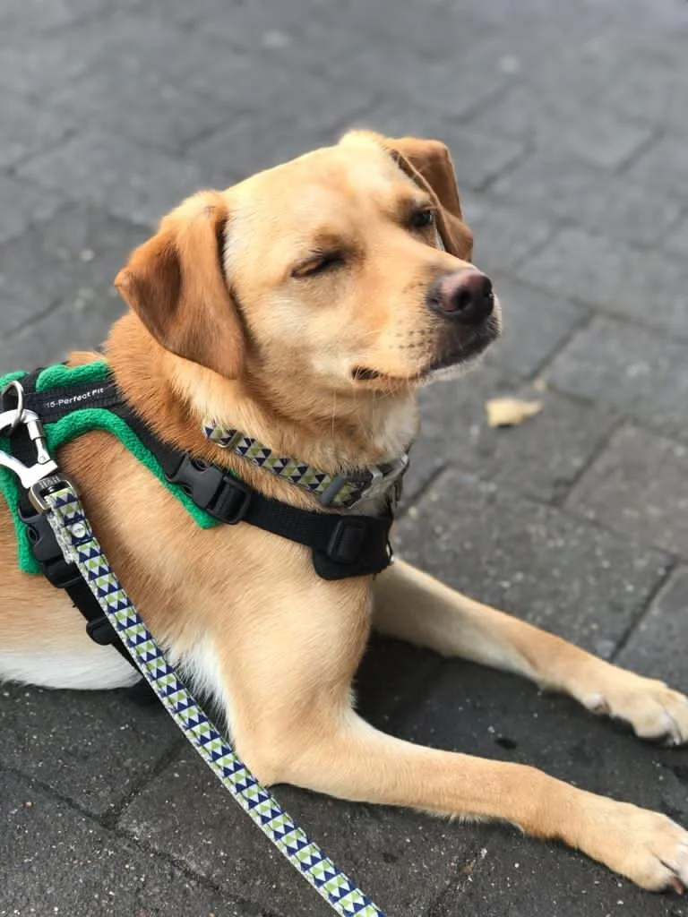 4EC3D879-70A9-4F38-87A8-AB359BDF5745