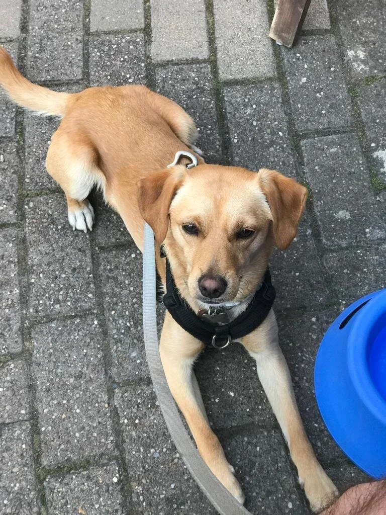 3B9E9F07-DBDB-4E10-B2FA-778F6ADB4BE7